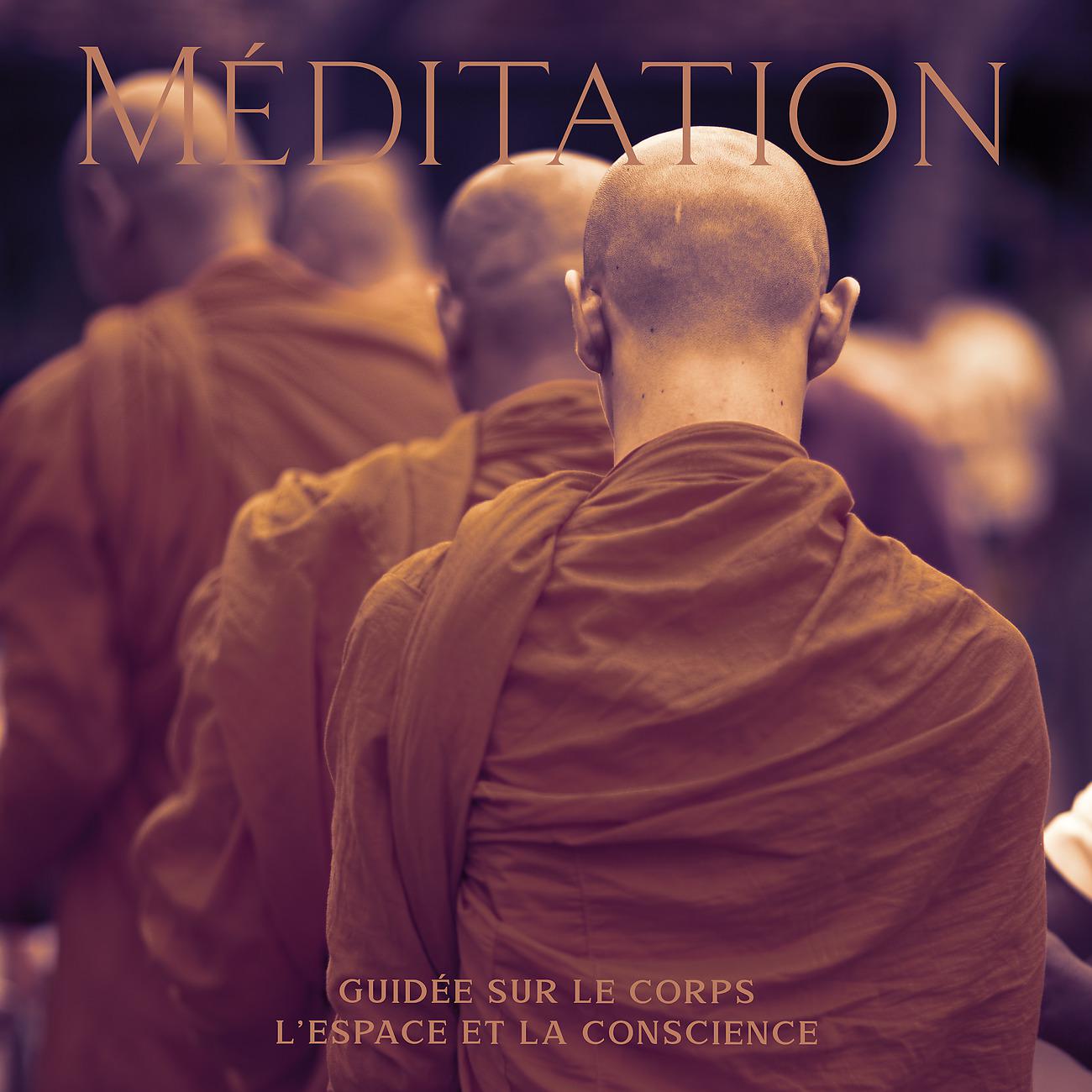 Постер альбома Méditation guidée sur le corps, L'espace et la conscience
