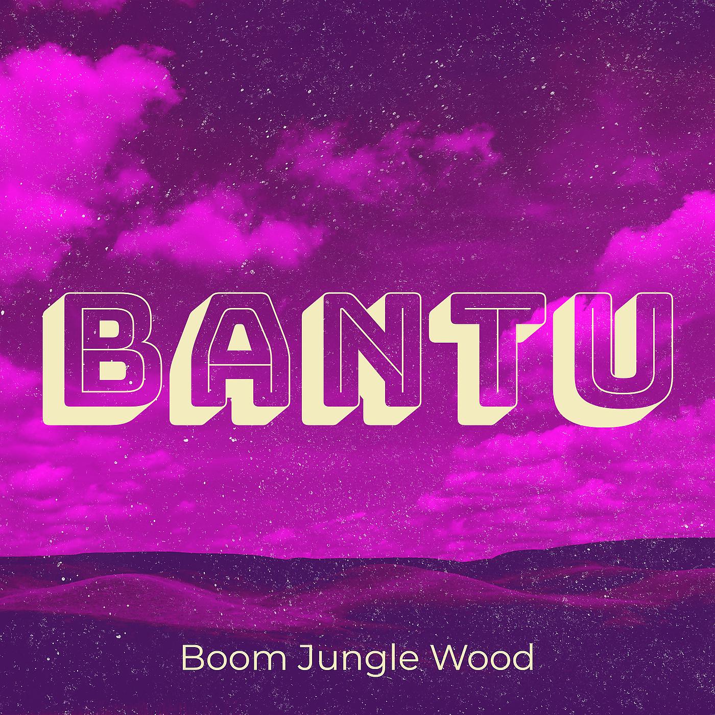 Постер альбома Bantu