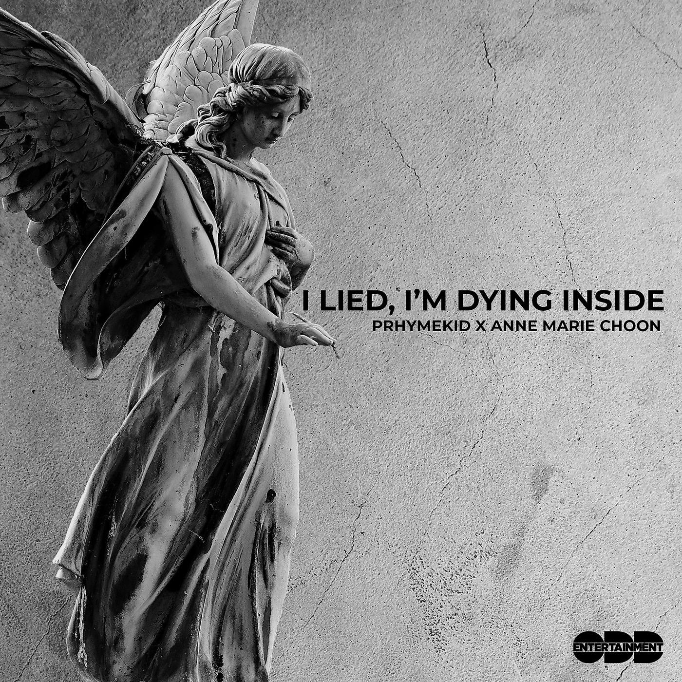 Постер альбома I Lied, I'm Dying Inside (Prhymekid Remix)