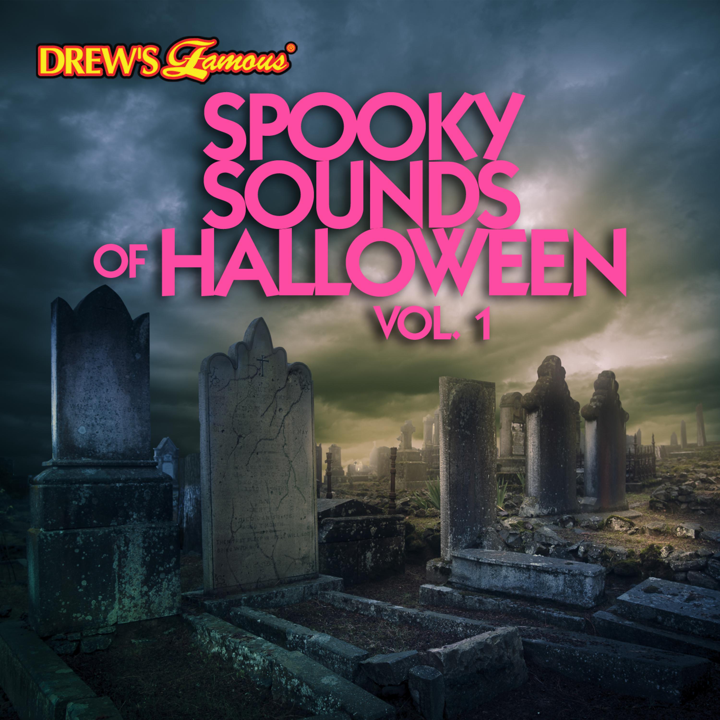 Постер альбома Spooky Sounds of Halloween, Vol. 1