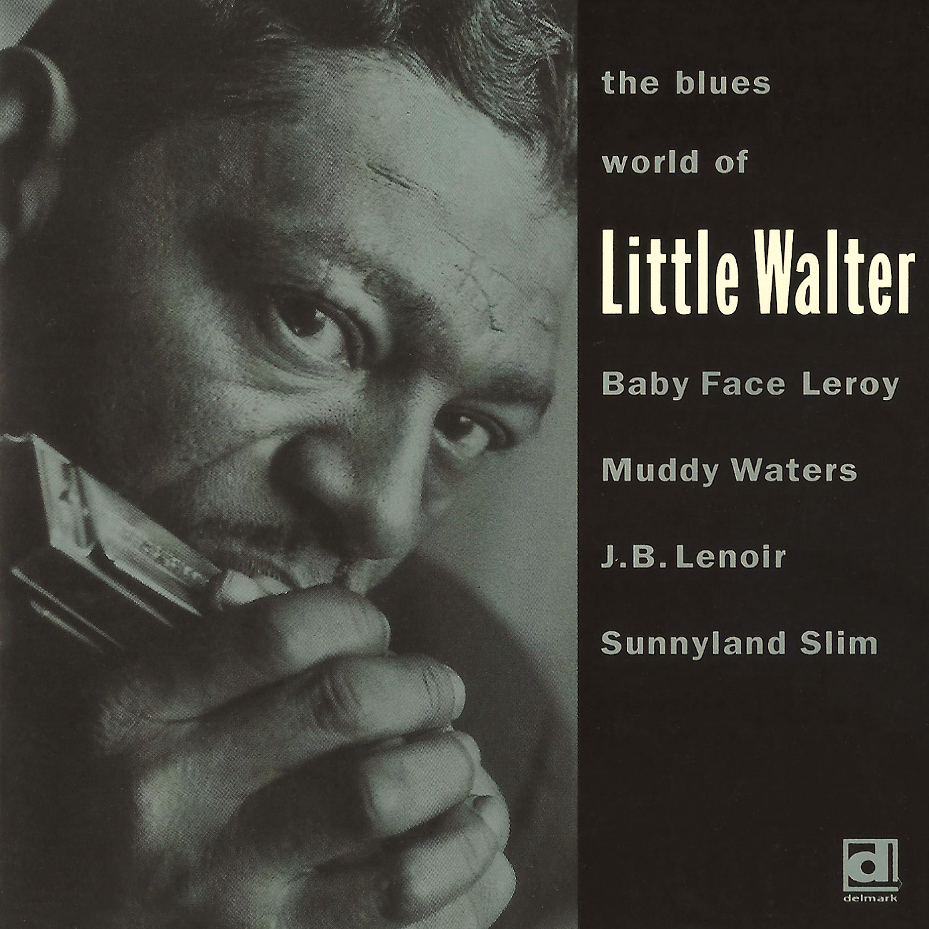 Постер альбома The Blues World of Little Walter
