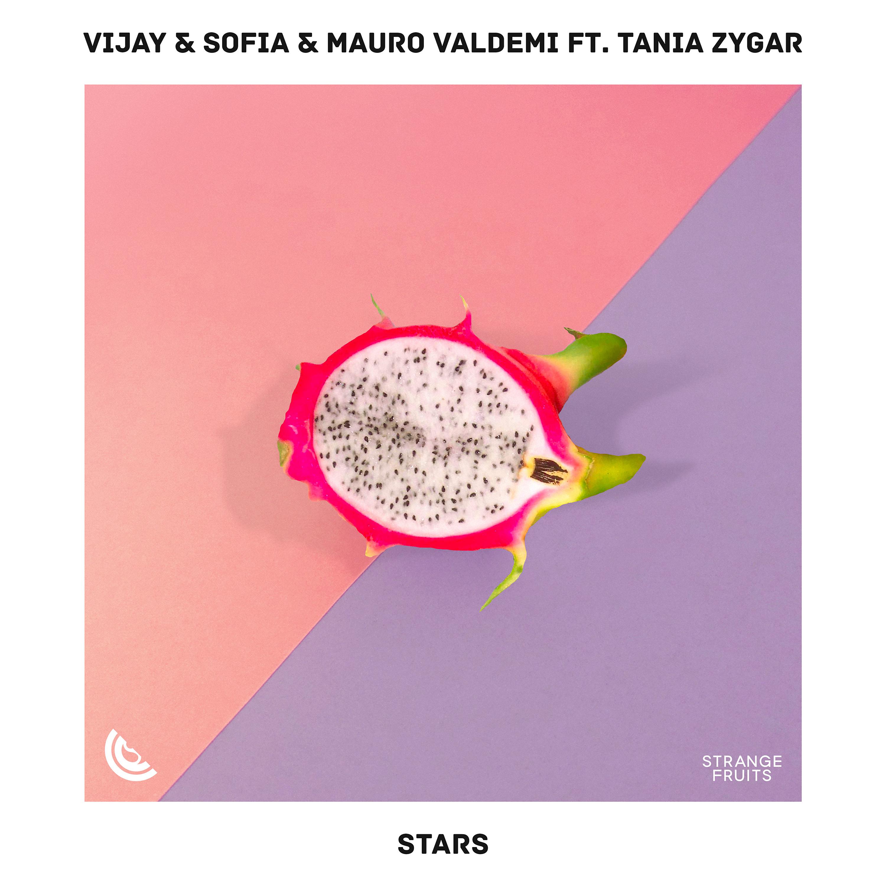 Постер альбома Stars (feat. Tania Zygar)