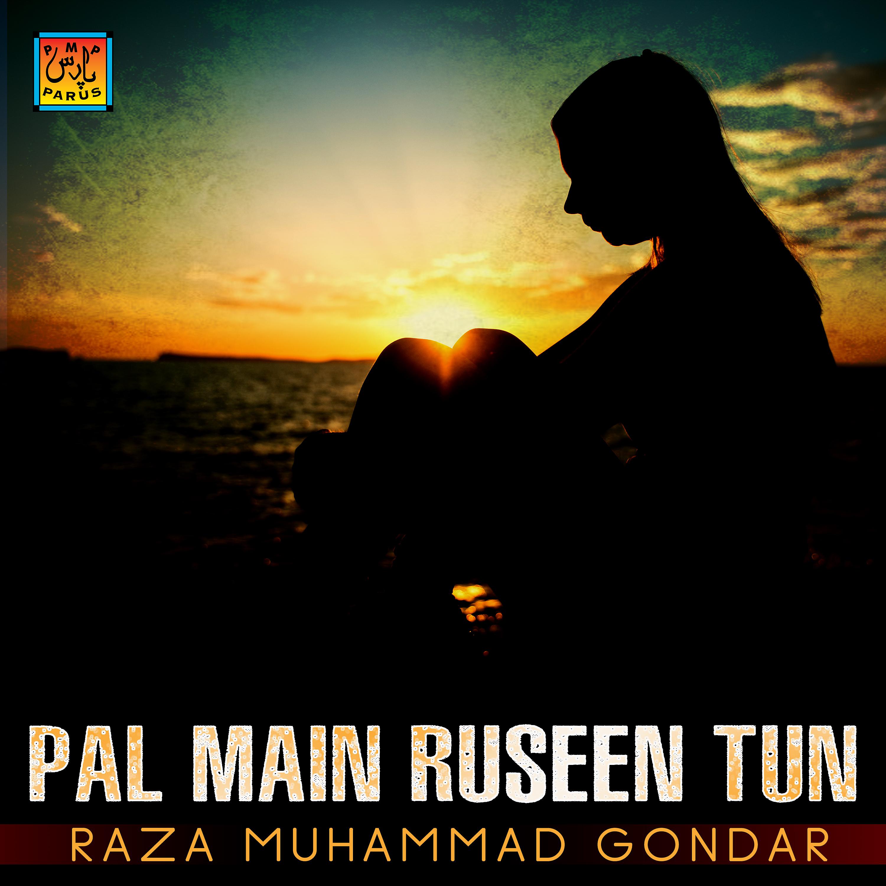 Постер альбома Pal Main Ruseen Tun
