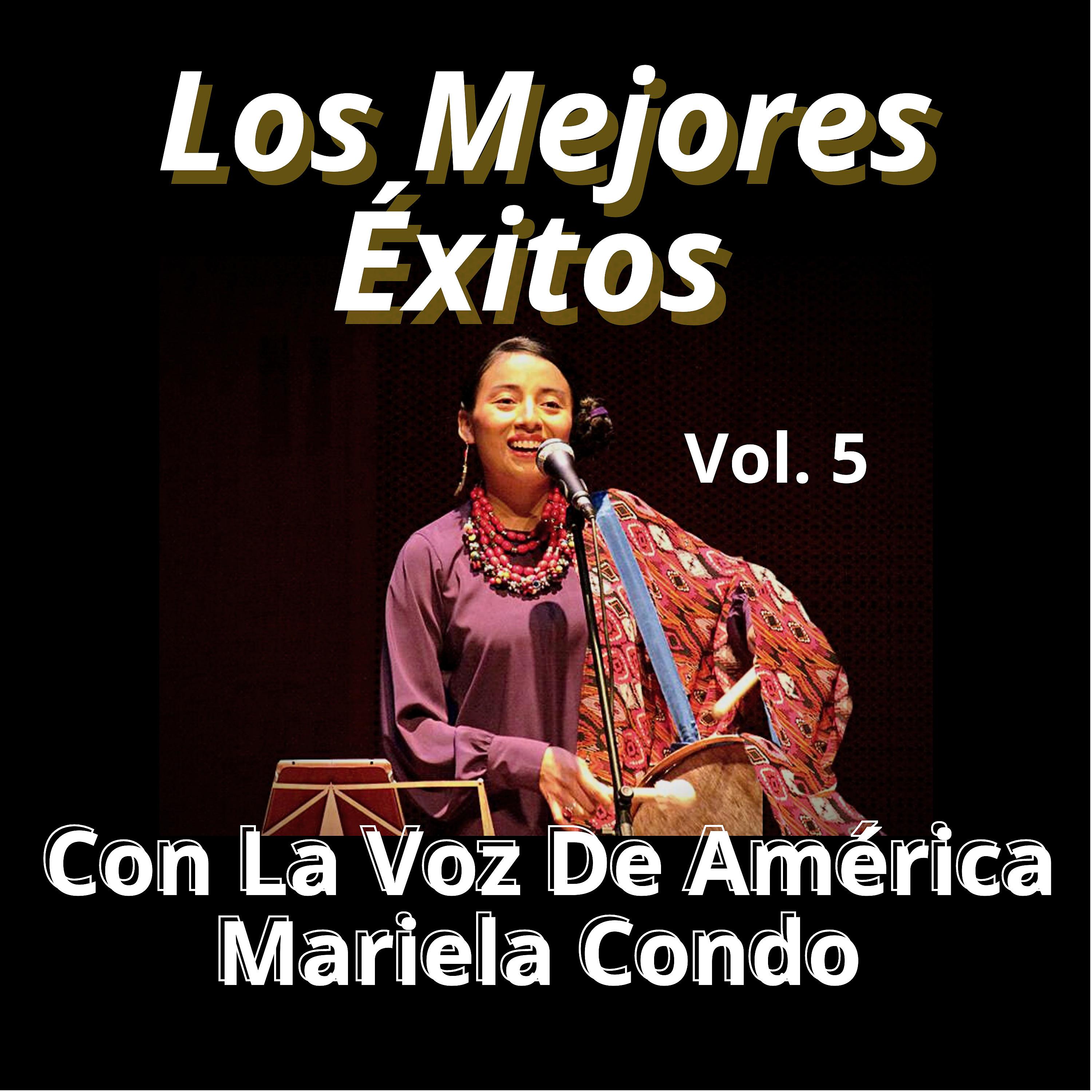 Постер альбома Los Mejores Éxitos Con la Voz de América Mariela Condo Vol.5