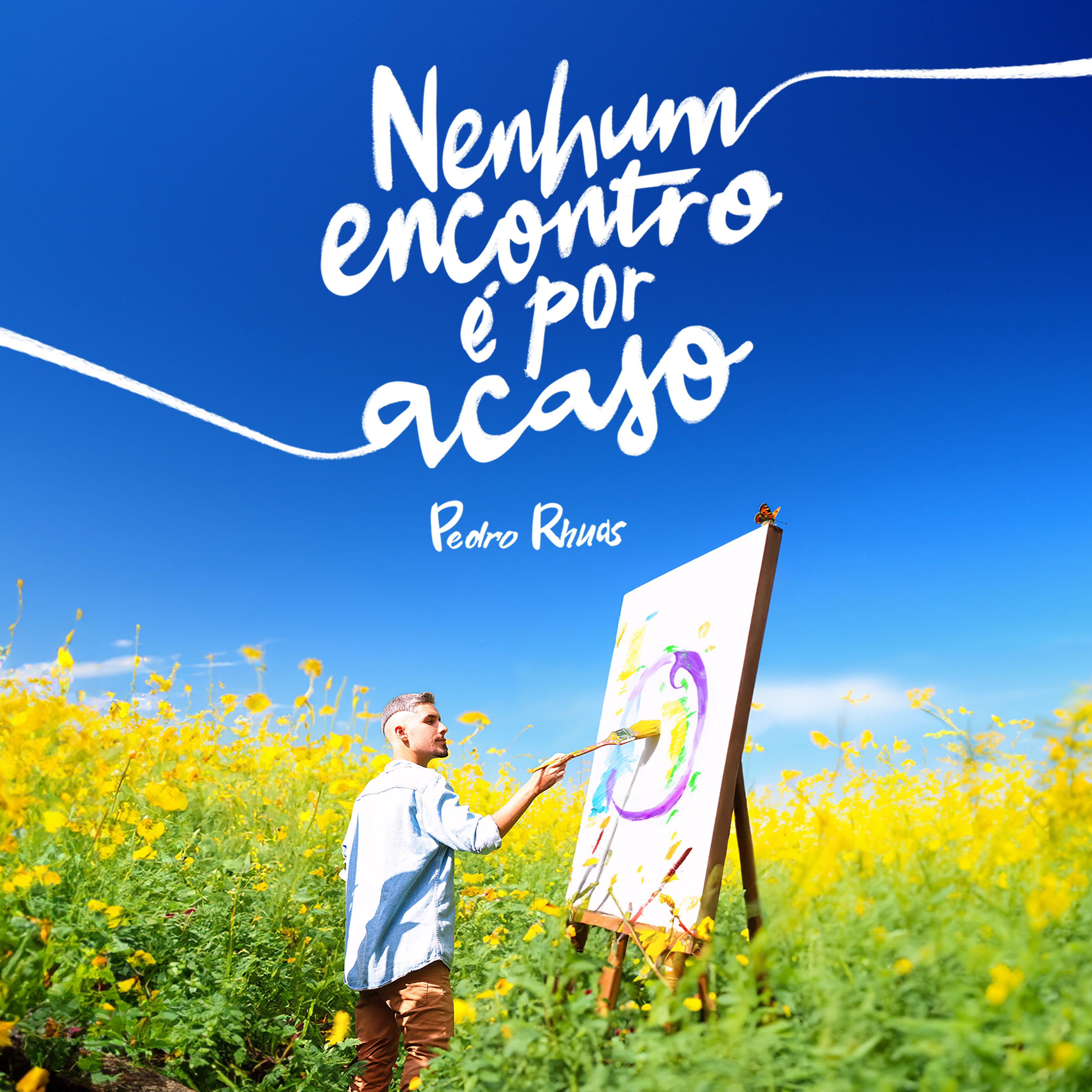 Постер альбома Nenhum Encontro É por Acaso