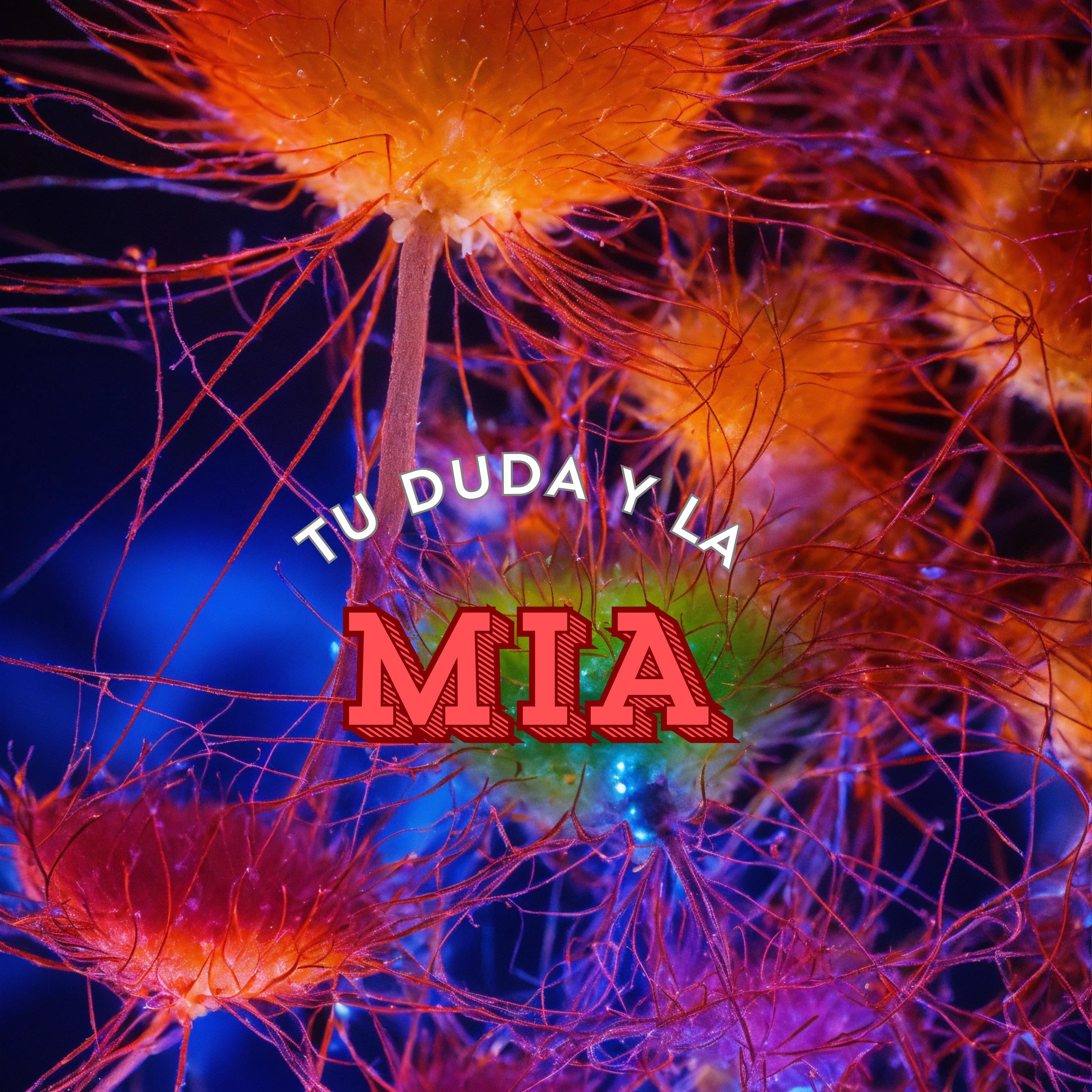 Постер альбома Tu Duda y la Mia