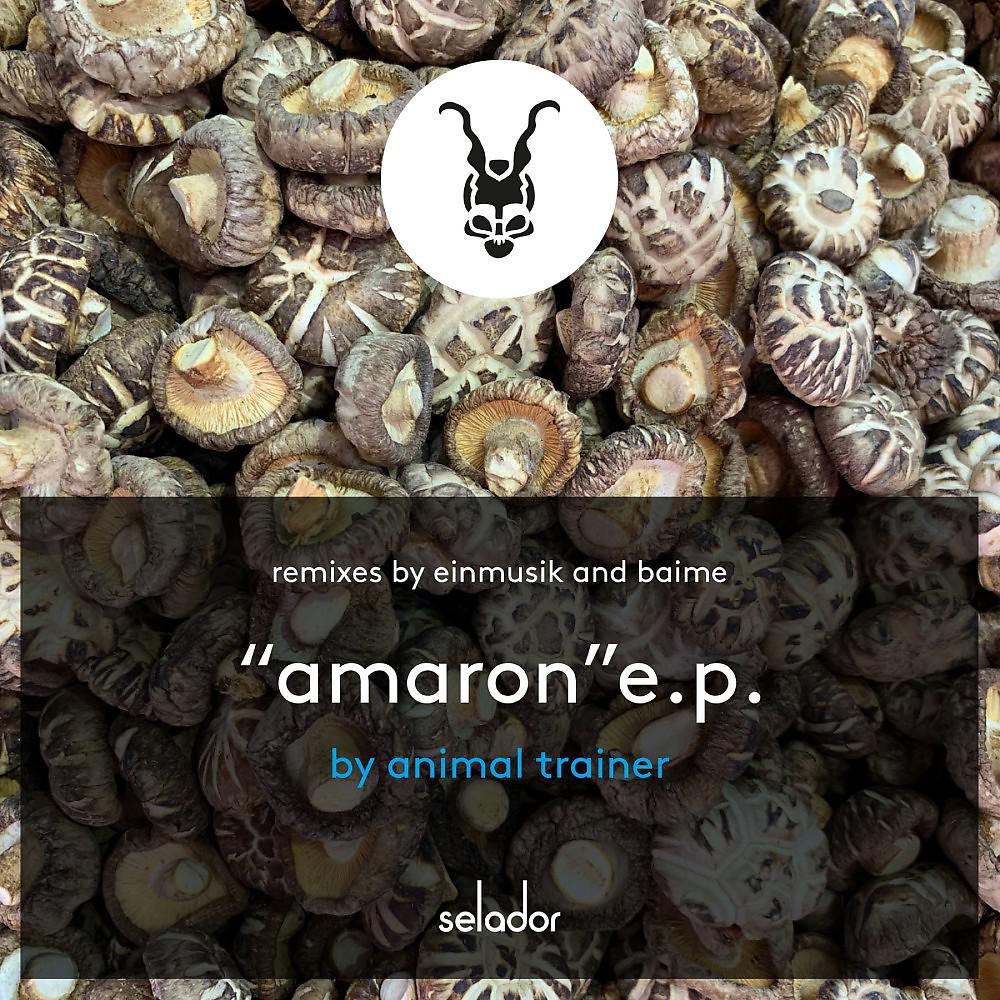 Постер альбома Amaron EP