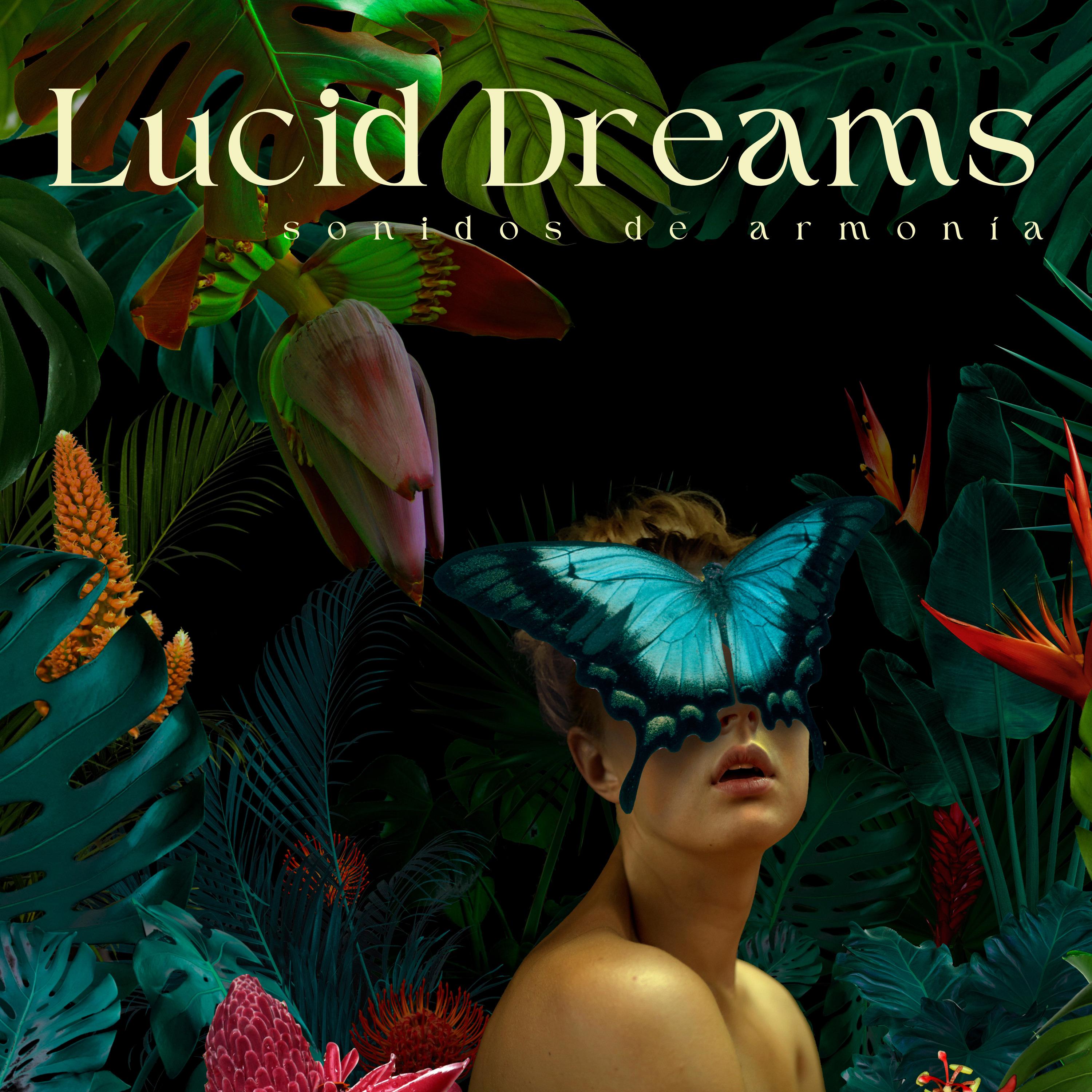 Постер альбома Lucid Dreams 2