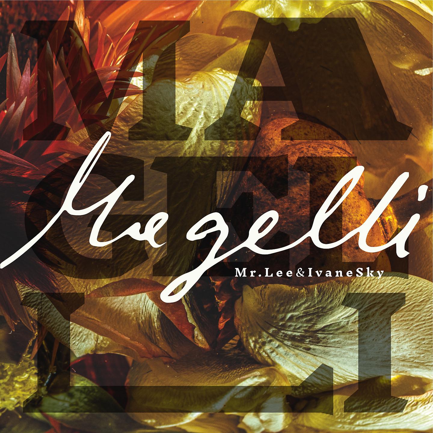 Постер альбома Magelli