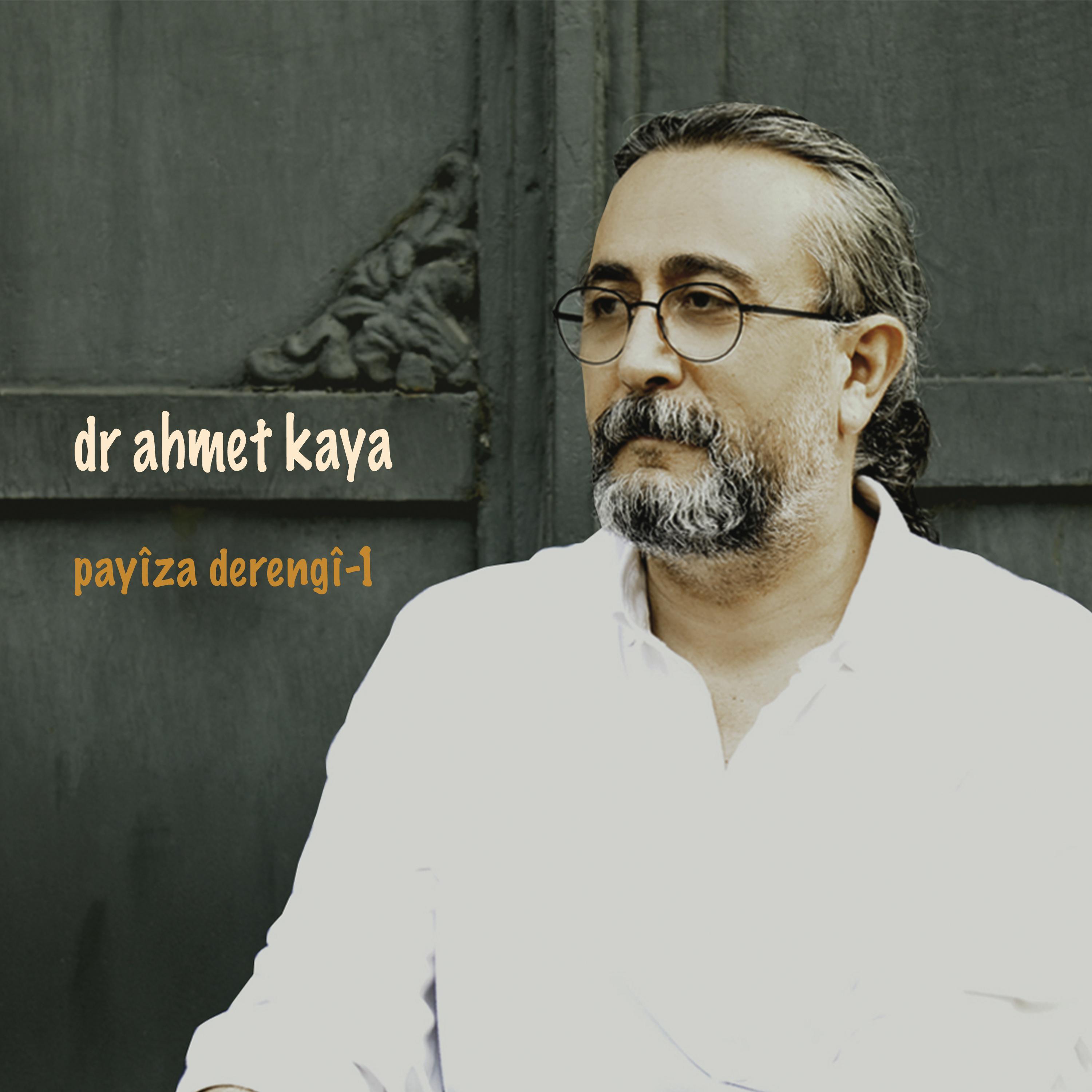 Постер альбома Payîza Derengî-1