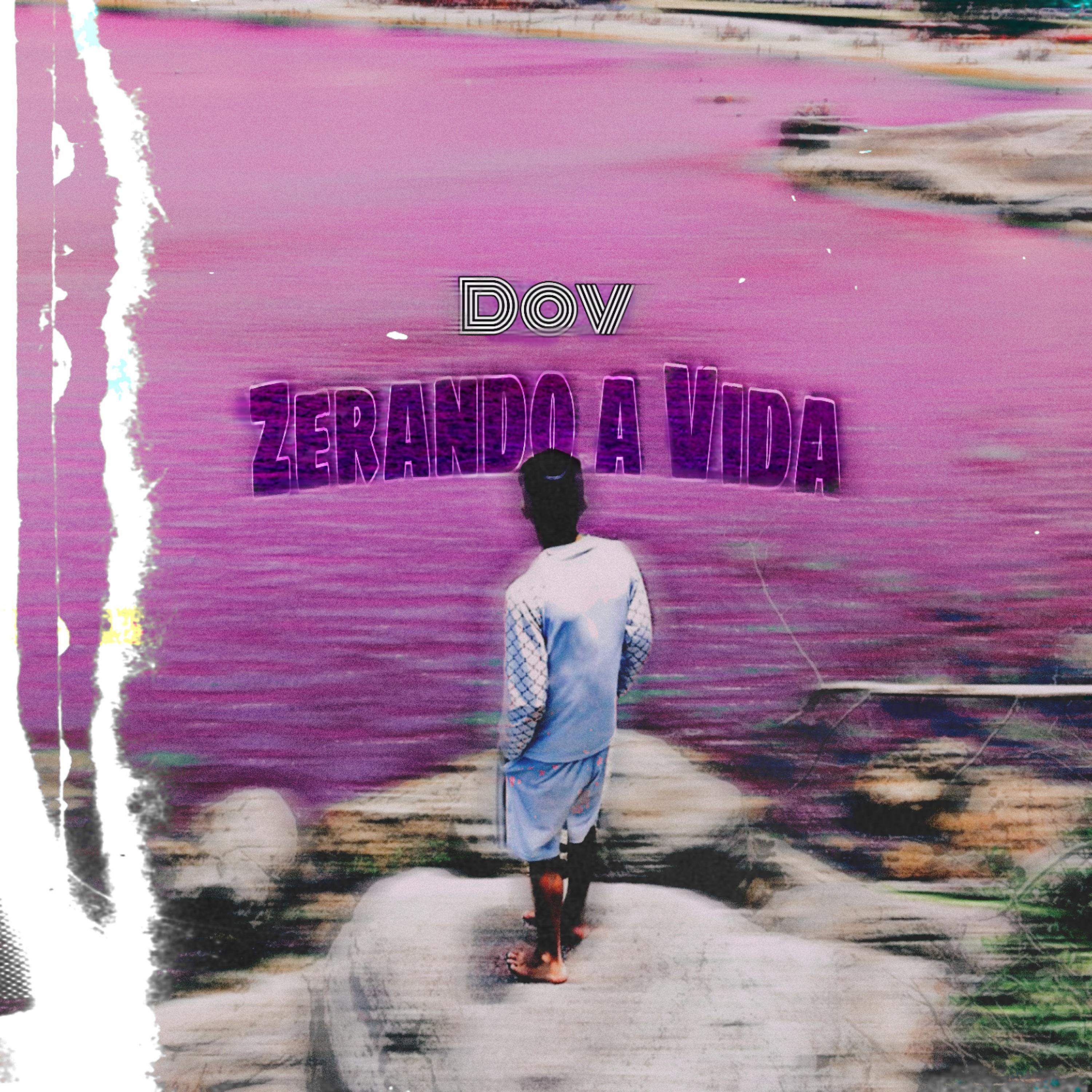 Постер альбома Zerando a Vida