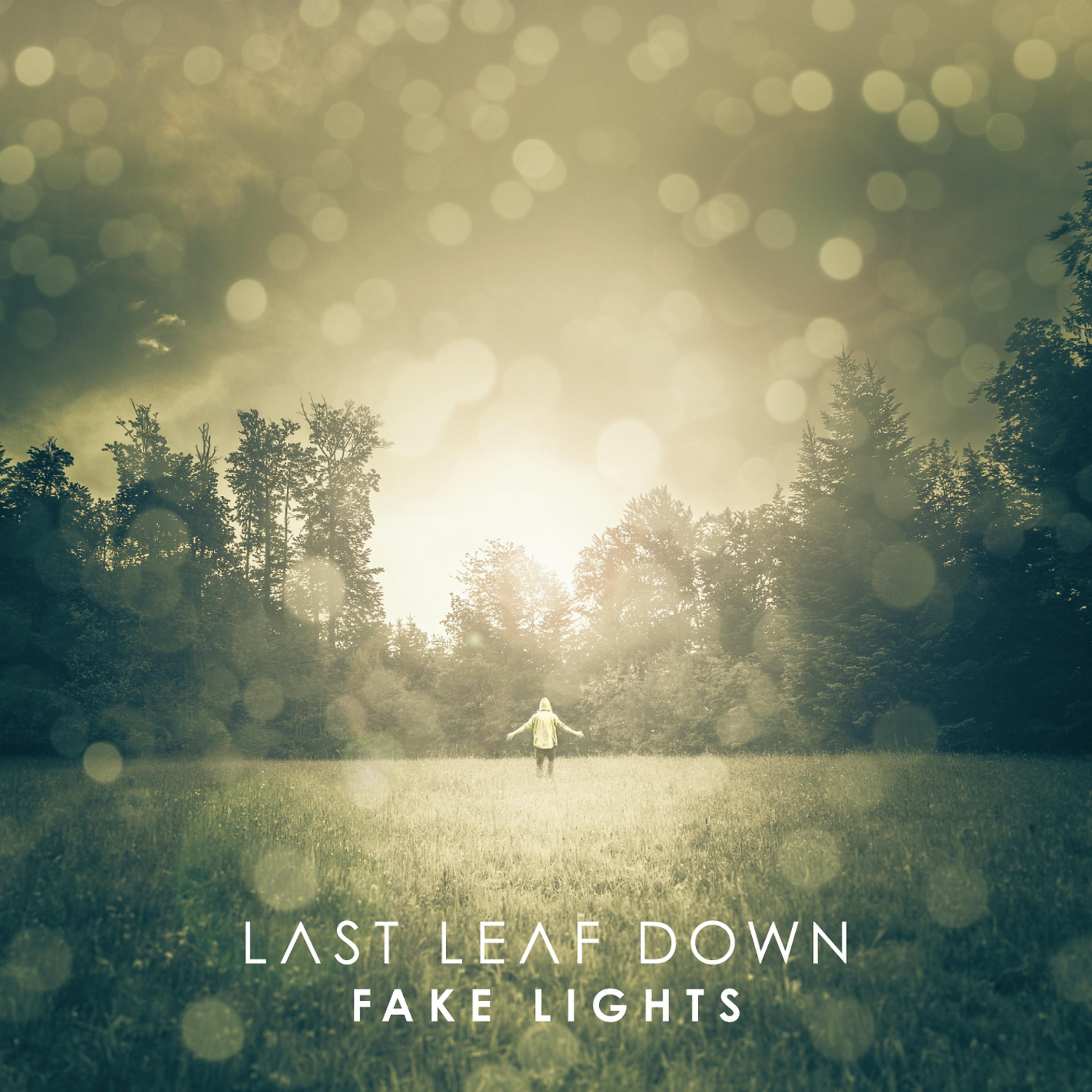 Постер альбома Fake Lights