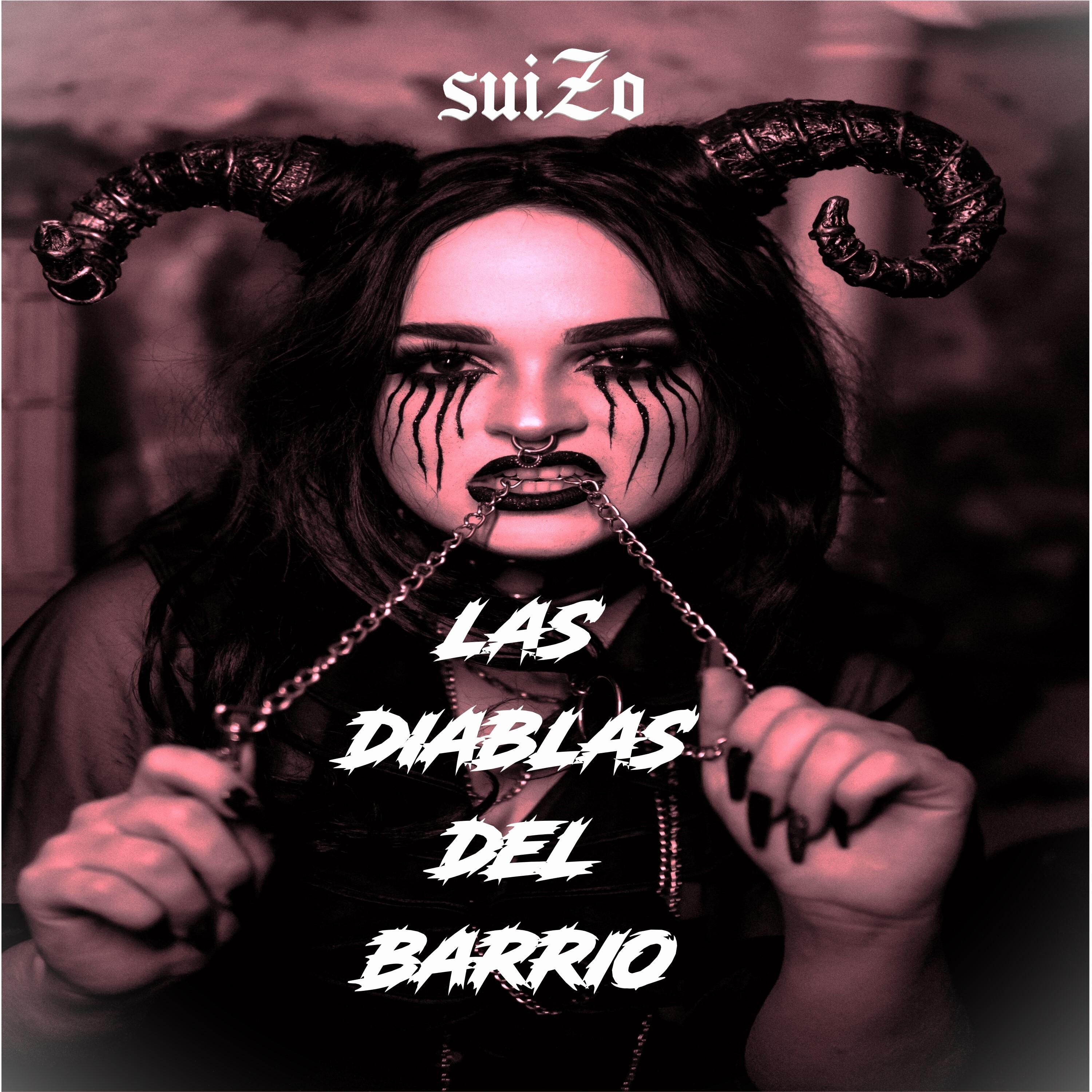Постер альбома Las Diablas del Barrio
