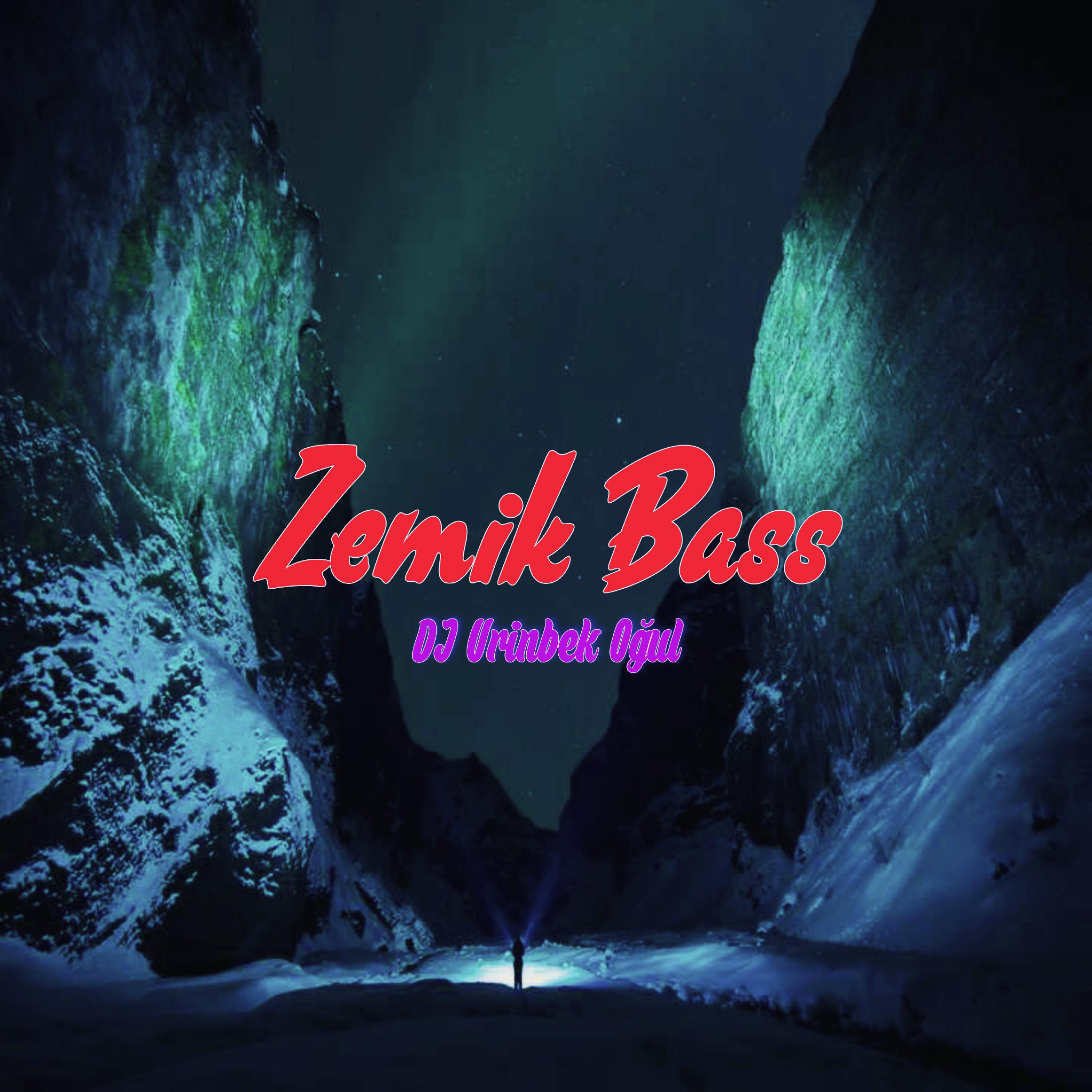 Постер альбома Zemik Bass