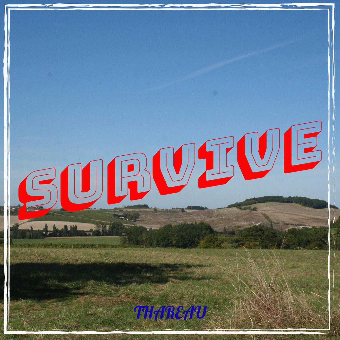 Постер альбома Survive