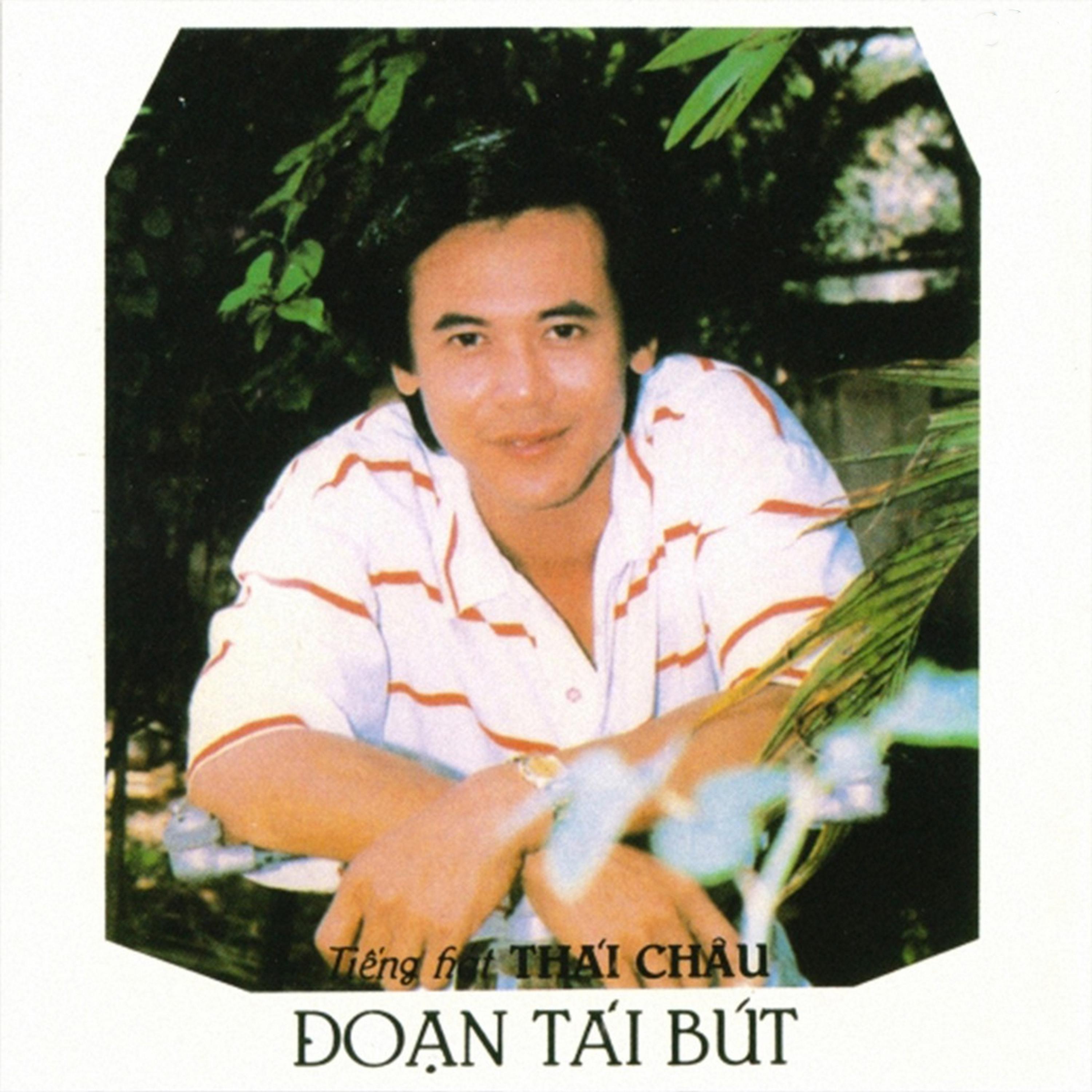 Постер альбома Đoạn Tái Bút