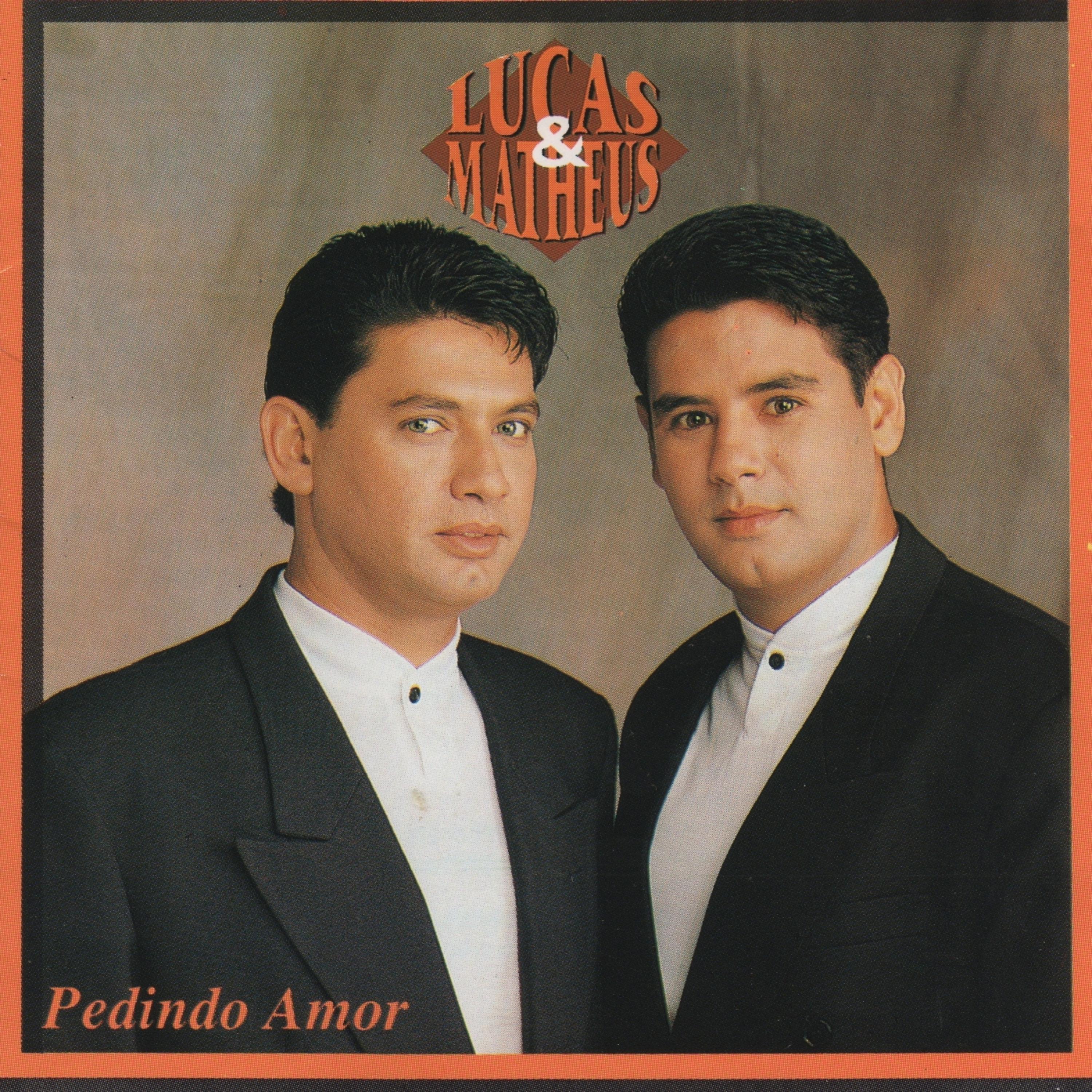 Постер альбома Pedindo Amor