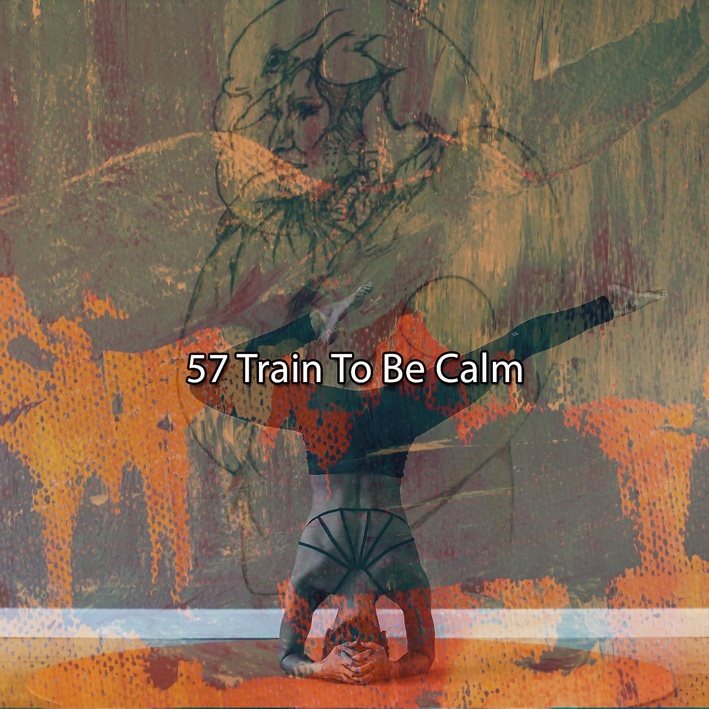 Постер альбома 57 Train To Be Calm