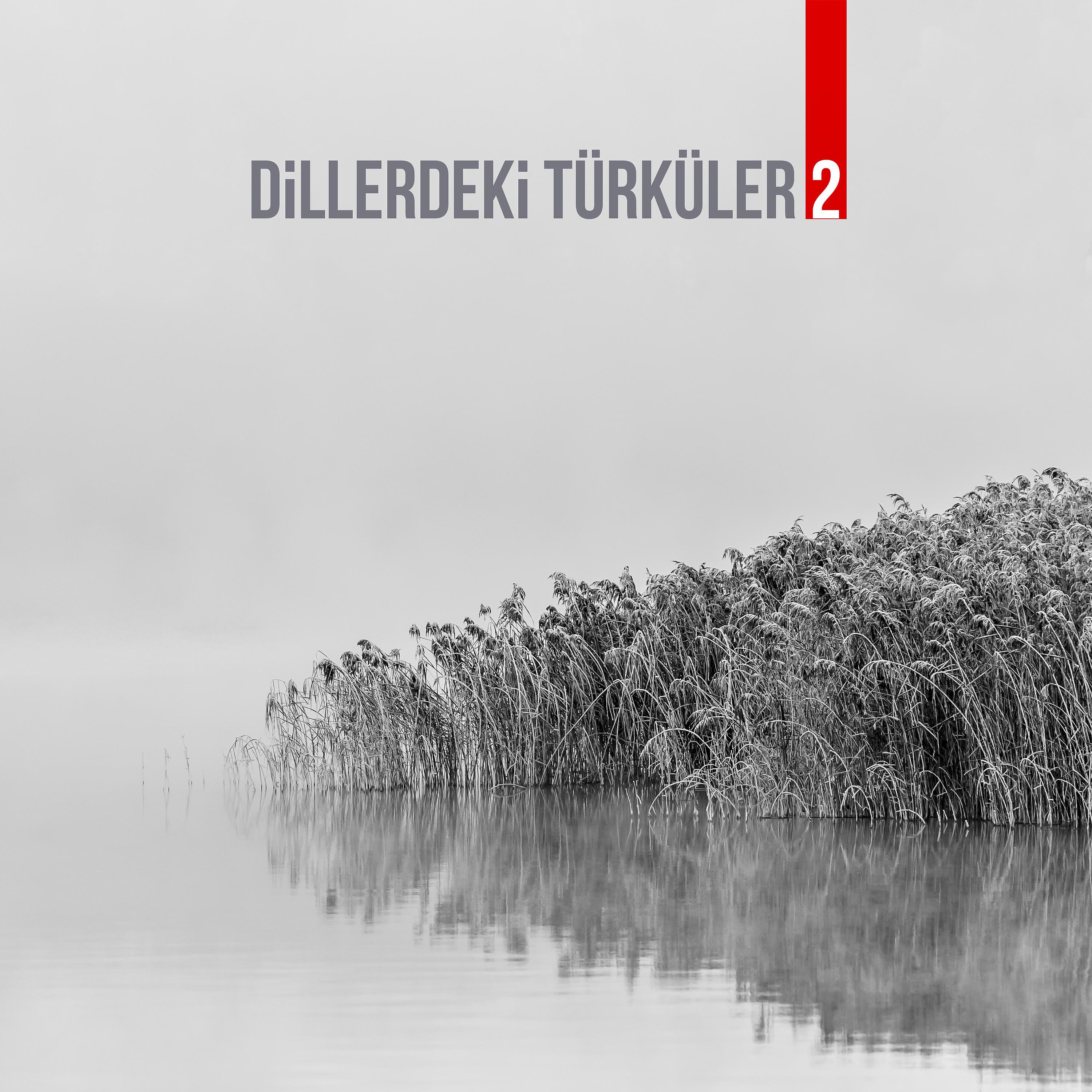Постер альбома Dillerdeki Türküler 2