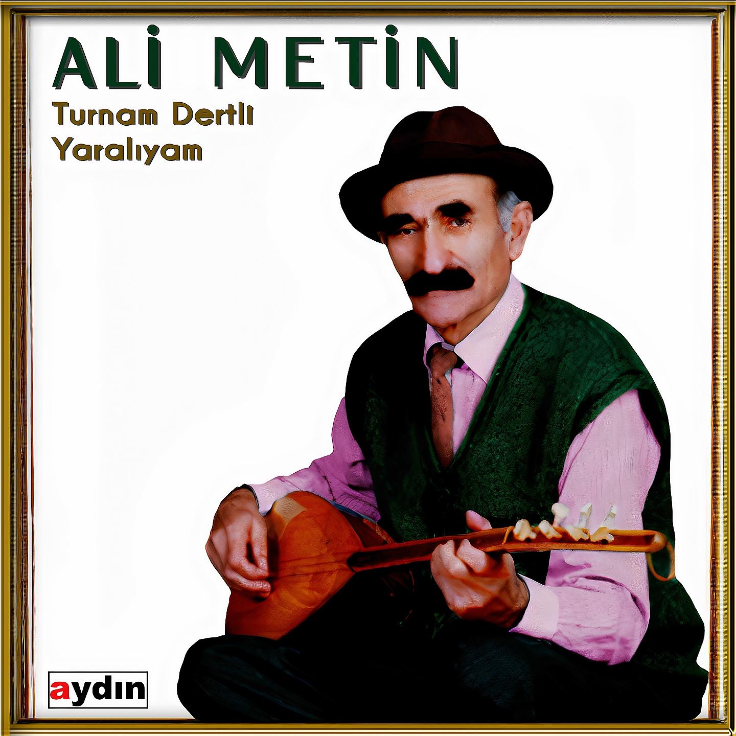 Постер альбома Turnam Dertli Yaralıyam
