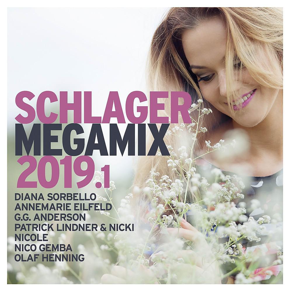 Постер альбома Schlager Megamix 2019.1