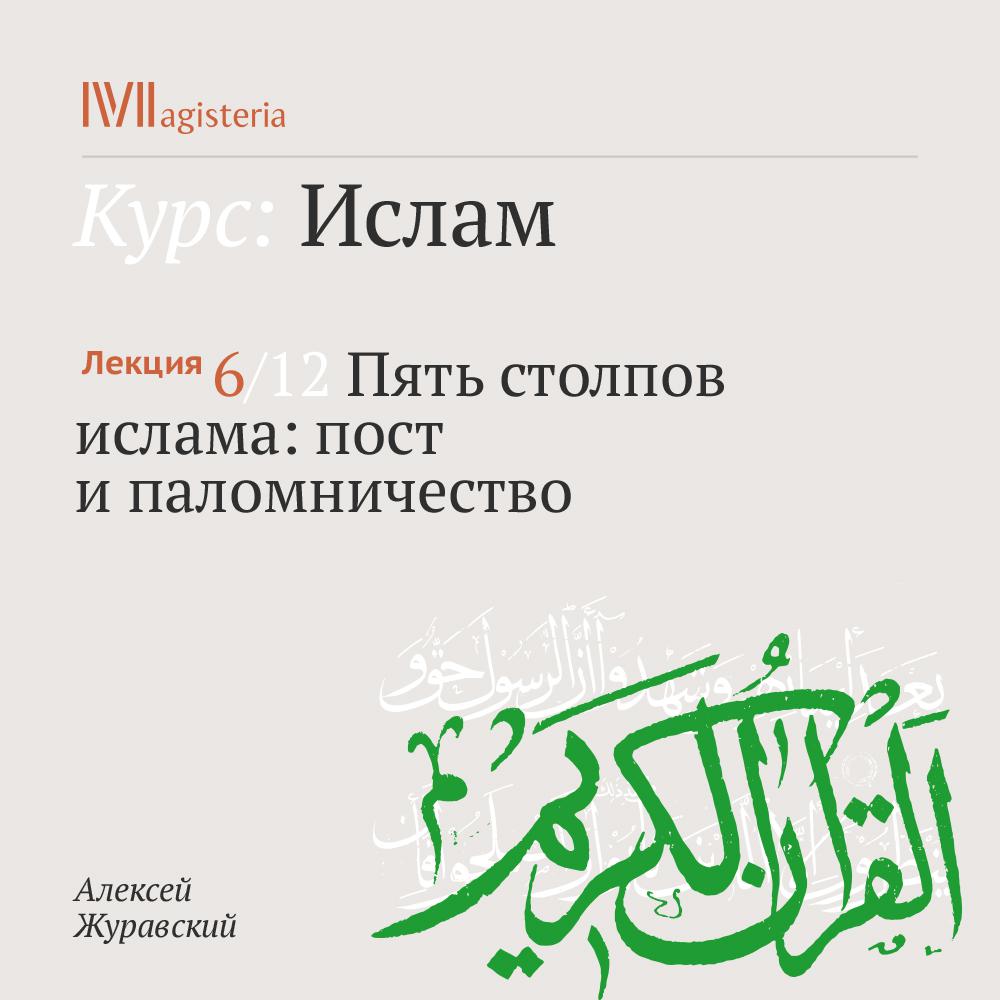 Постер альбома "Пять столпов ислама: пост и паломничество"