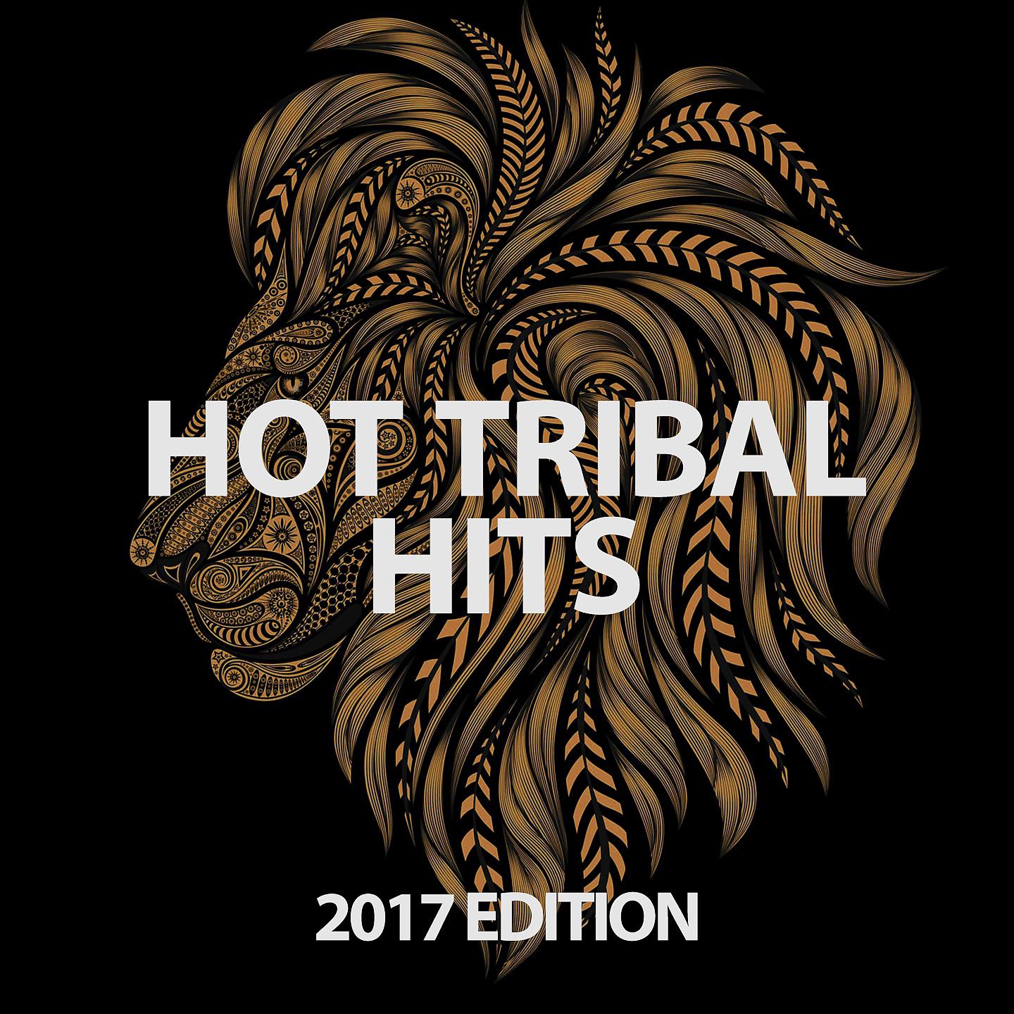 Постер альбома Hot Tribal Hits 2017 Edition