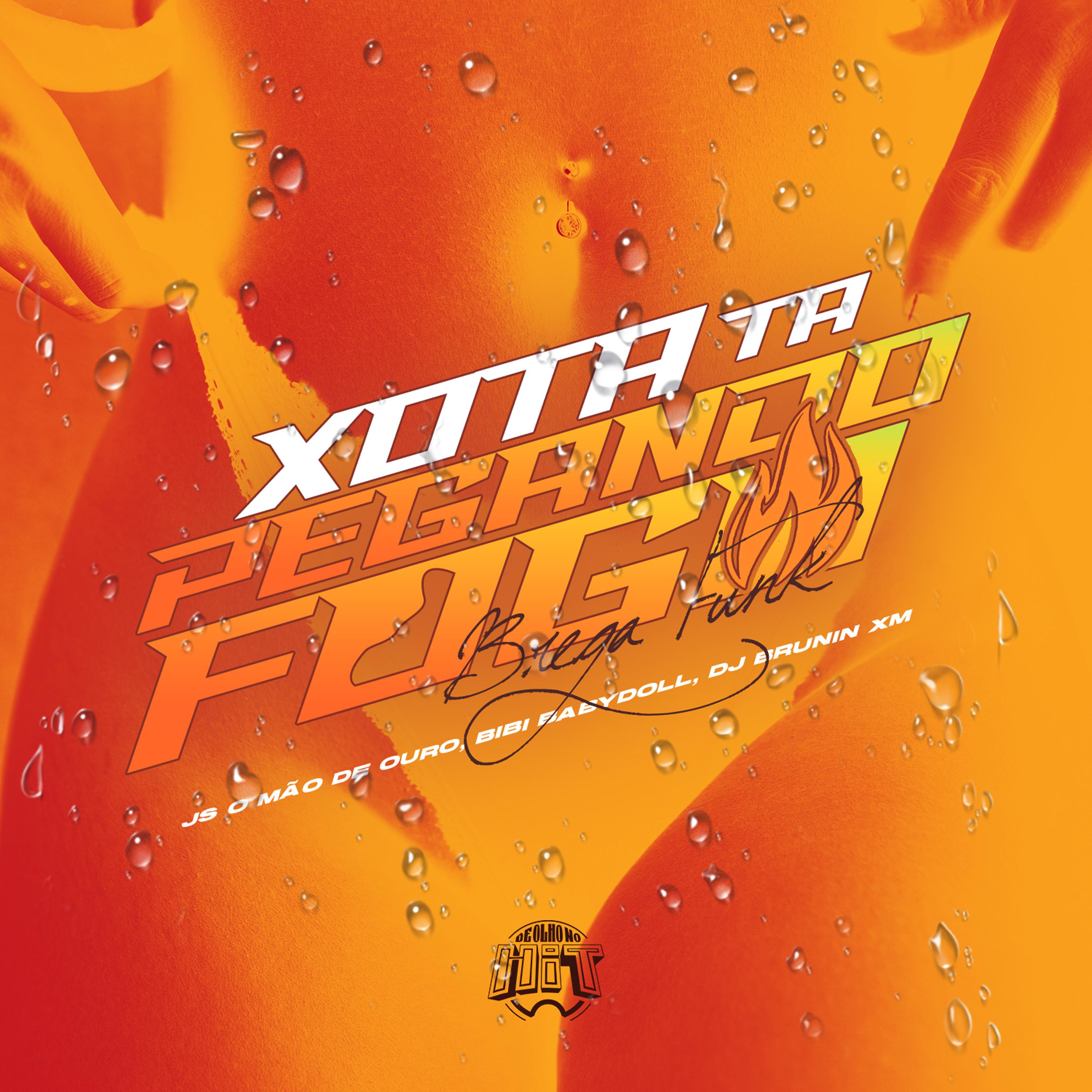 Постер альбома Xota Tá Pegando Fogo (Brega Funk)