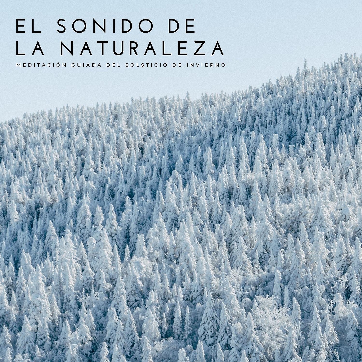 Постер альбома El Sonido De La Naturaleza: Meditación Guiada Del Solsticio De Invierno