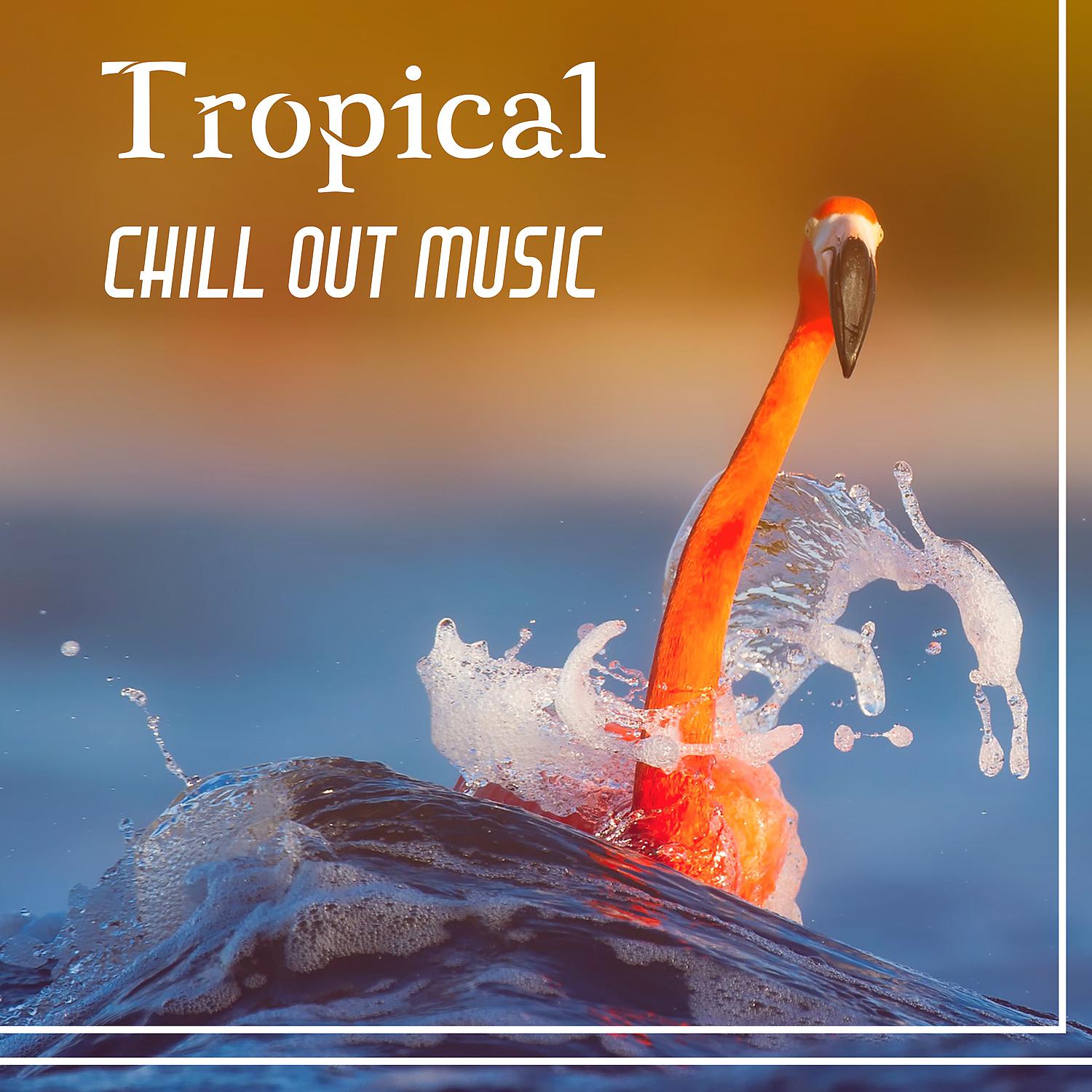 Постер альбома Tropical Chill Out Music – Chill Out Music, Tropical Club, Positive Vibrations, Lounge Chill