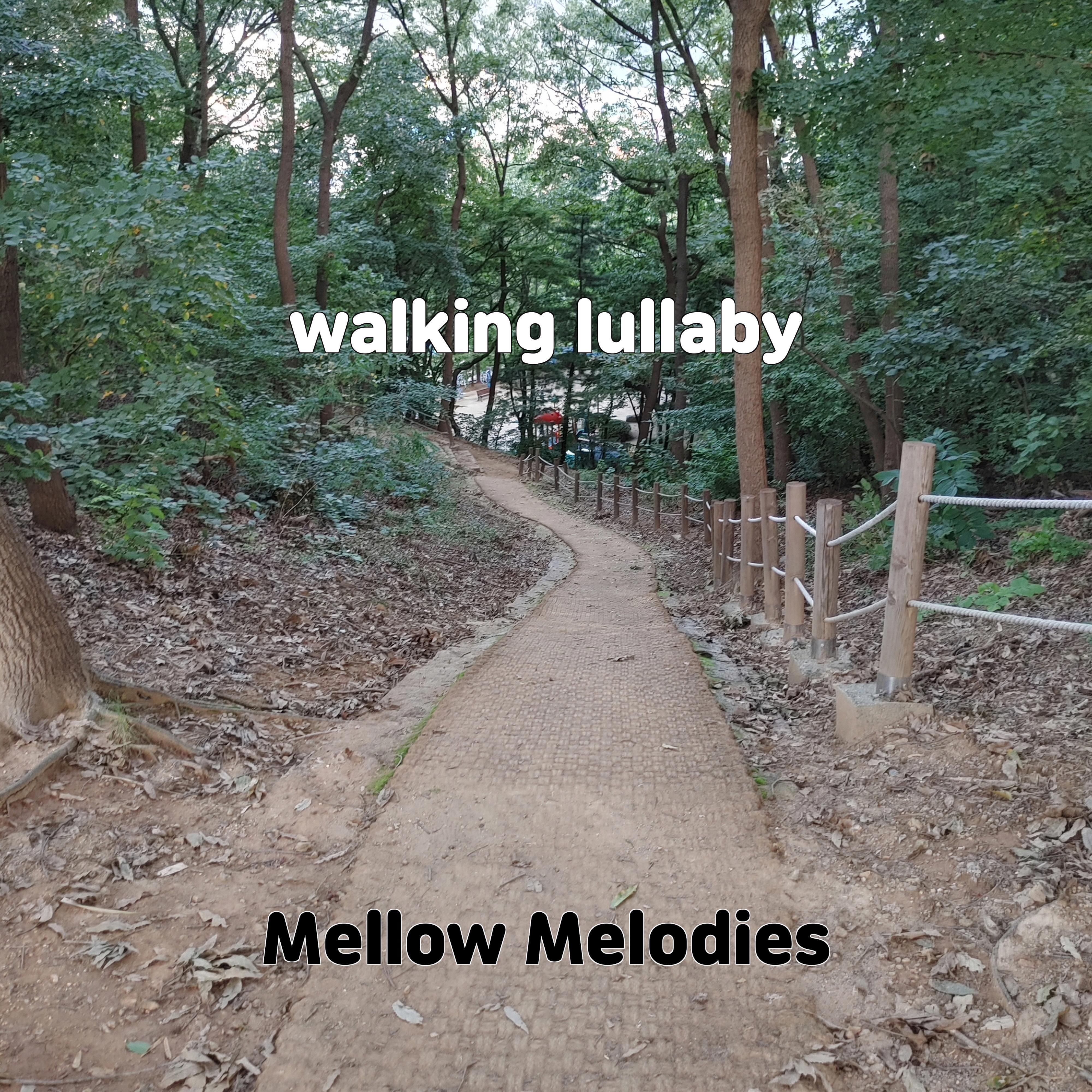 Постер альбома walking lullaby