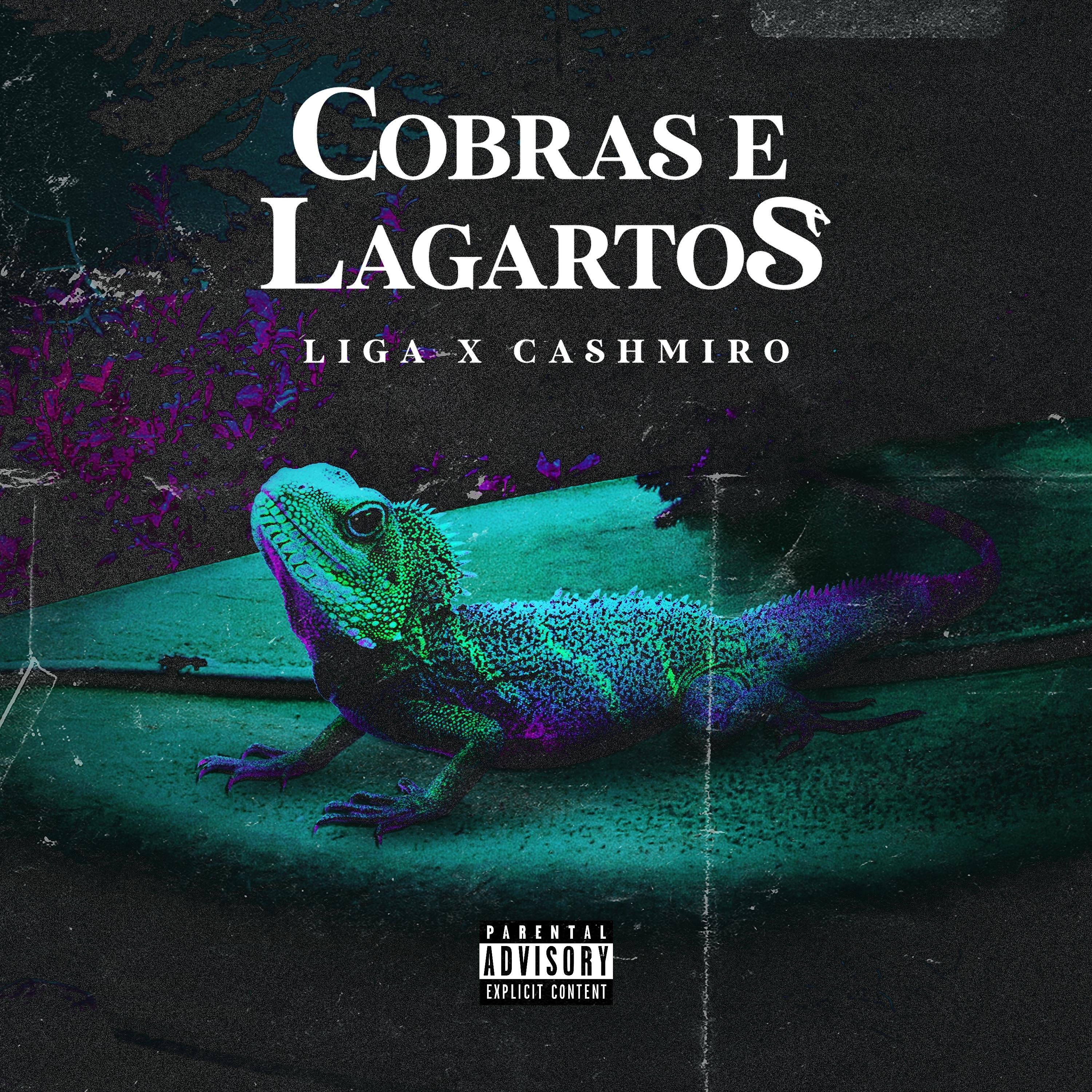 Постер альбома Cobras e Lagartos
