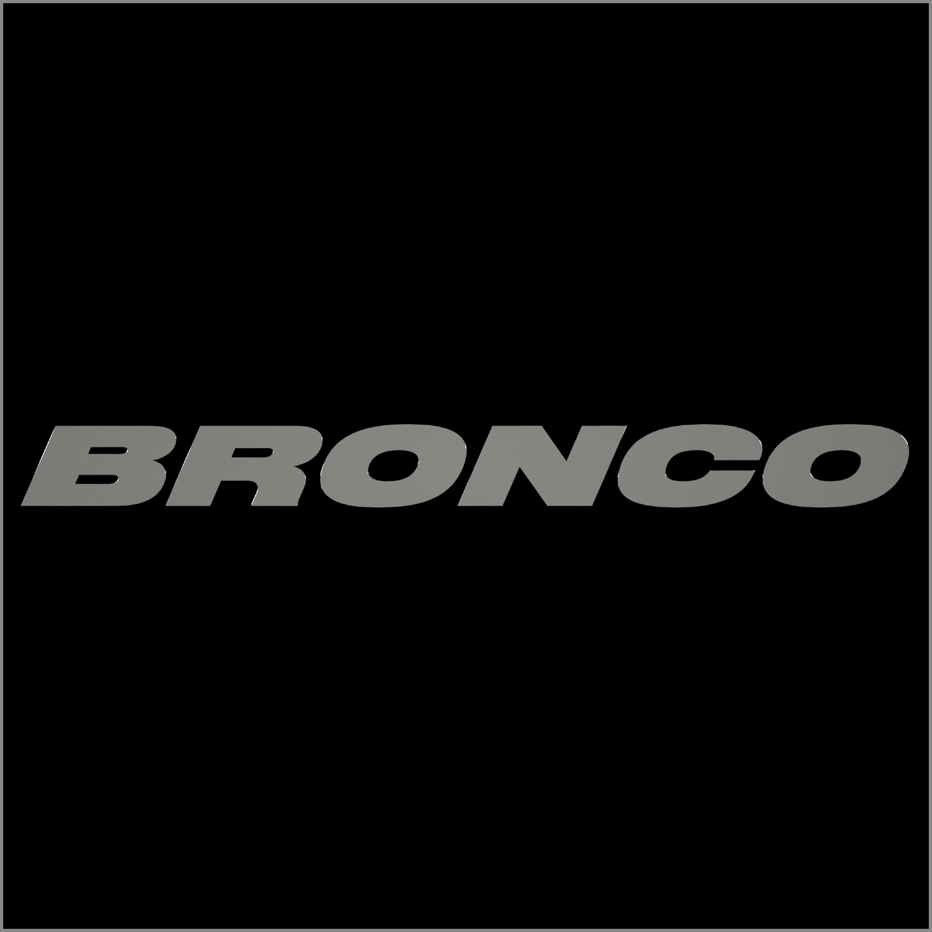 Постер альбома Bronco