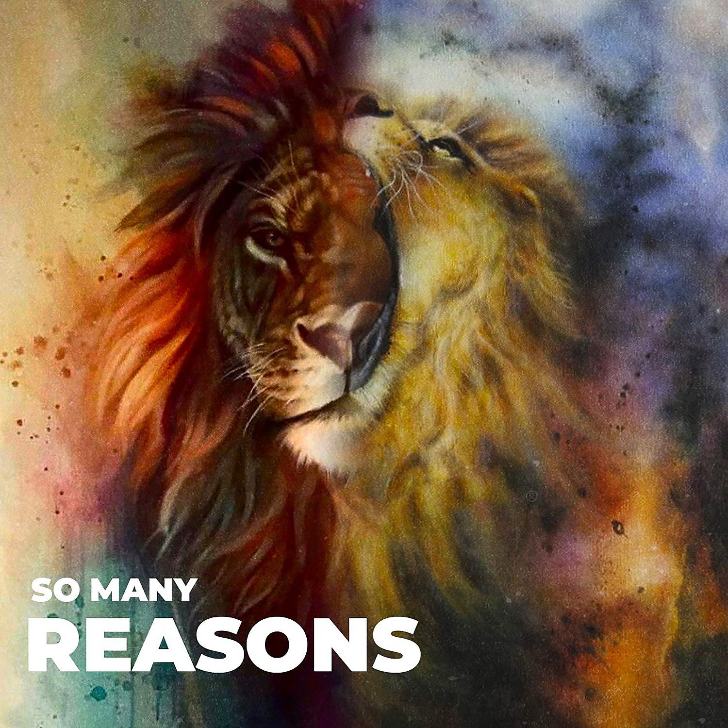 Постер альбома So Many Reasons
