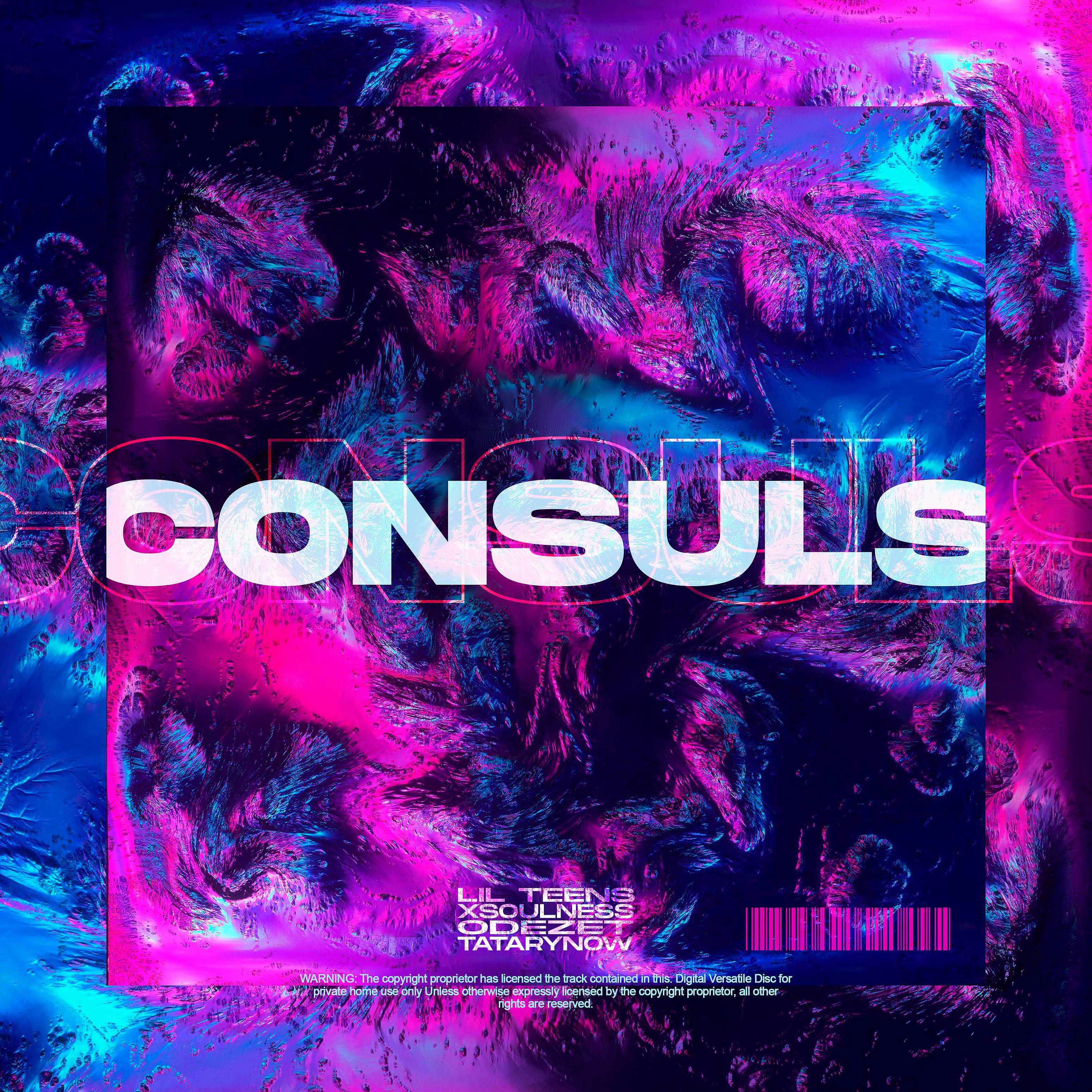 Постер альбома Consuls