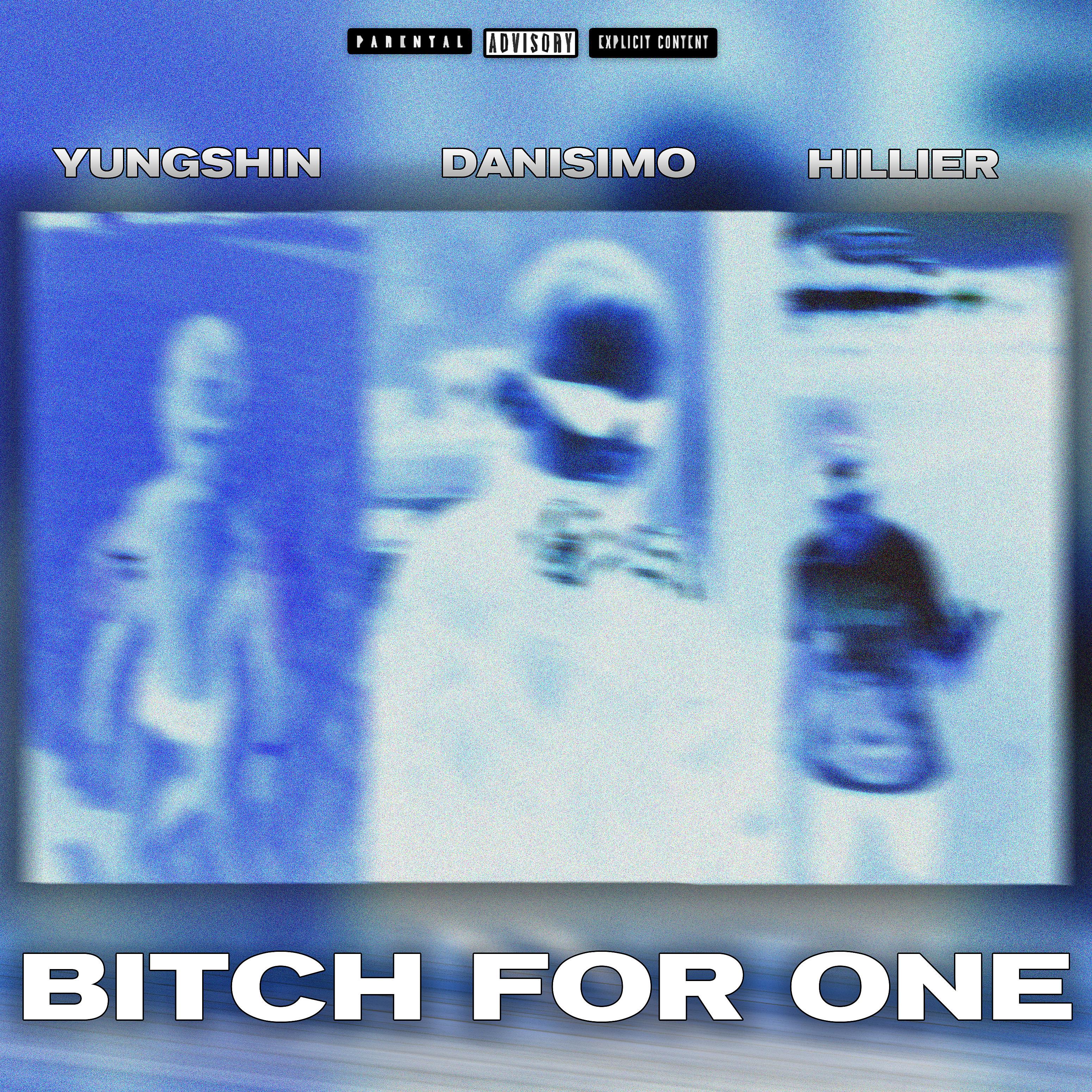 Постер альбома Bitch For One