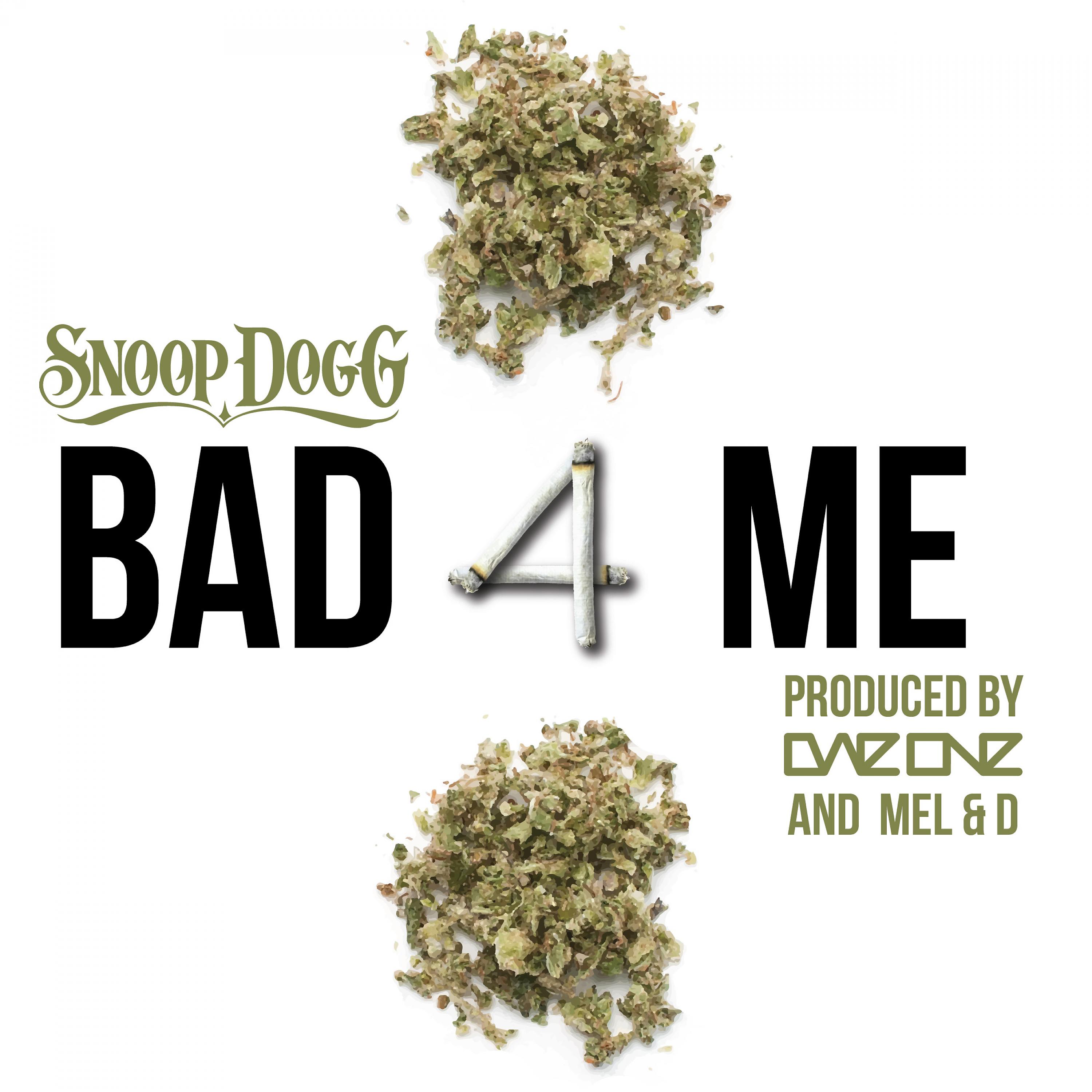 Постер альбома Bad 4 Me (feat. Snoop Dogg) [Instrumental]