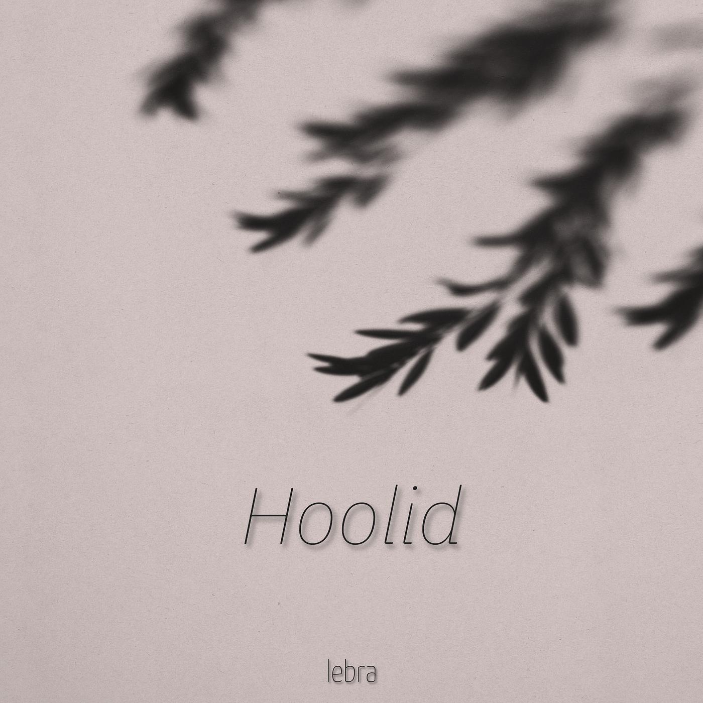 Постер альбома Hoolid