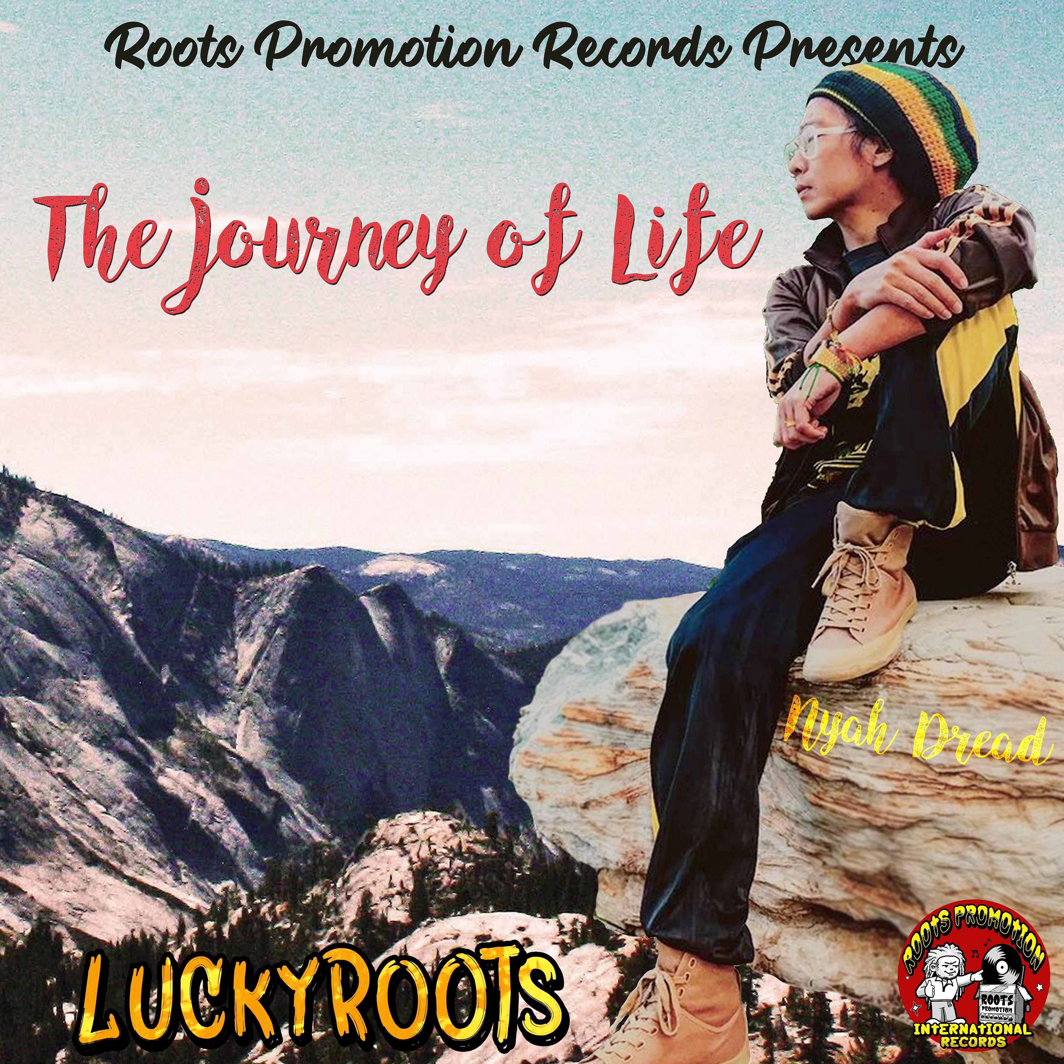 Постер альбома The Journey of Life