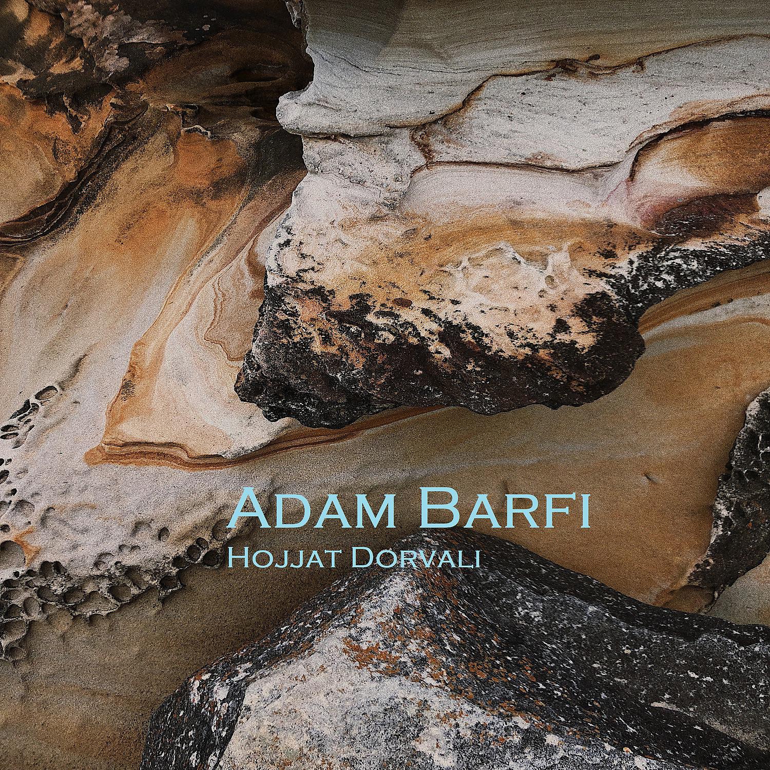 Постер альбома Adam Barfi