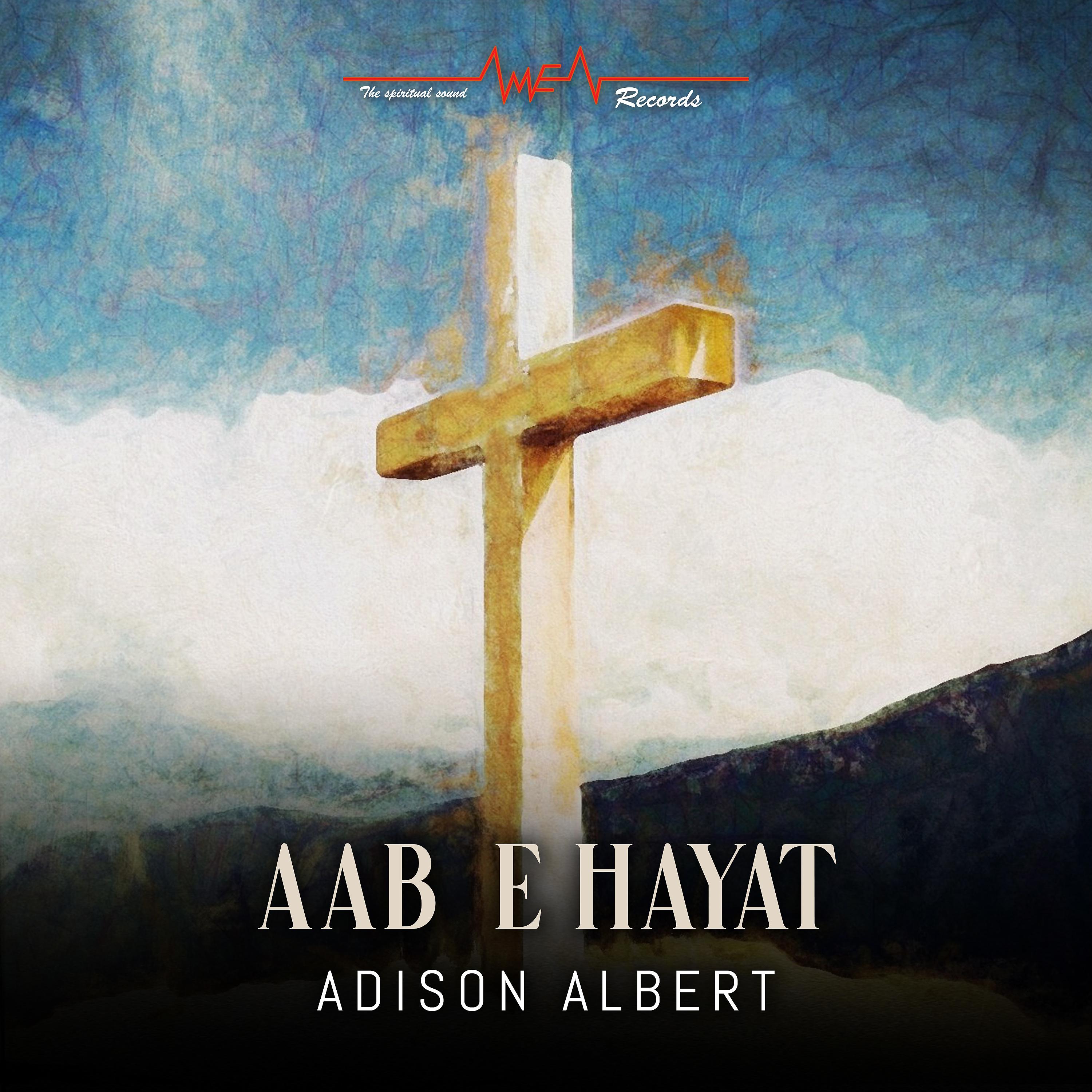 Постер альбома Aab E Hayat - Single