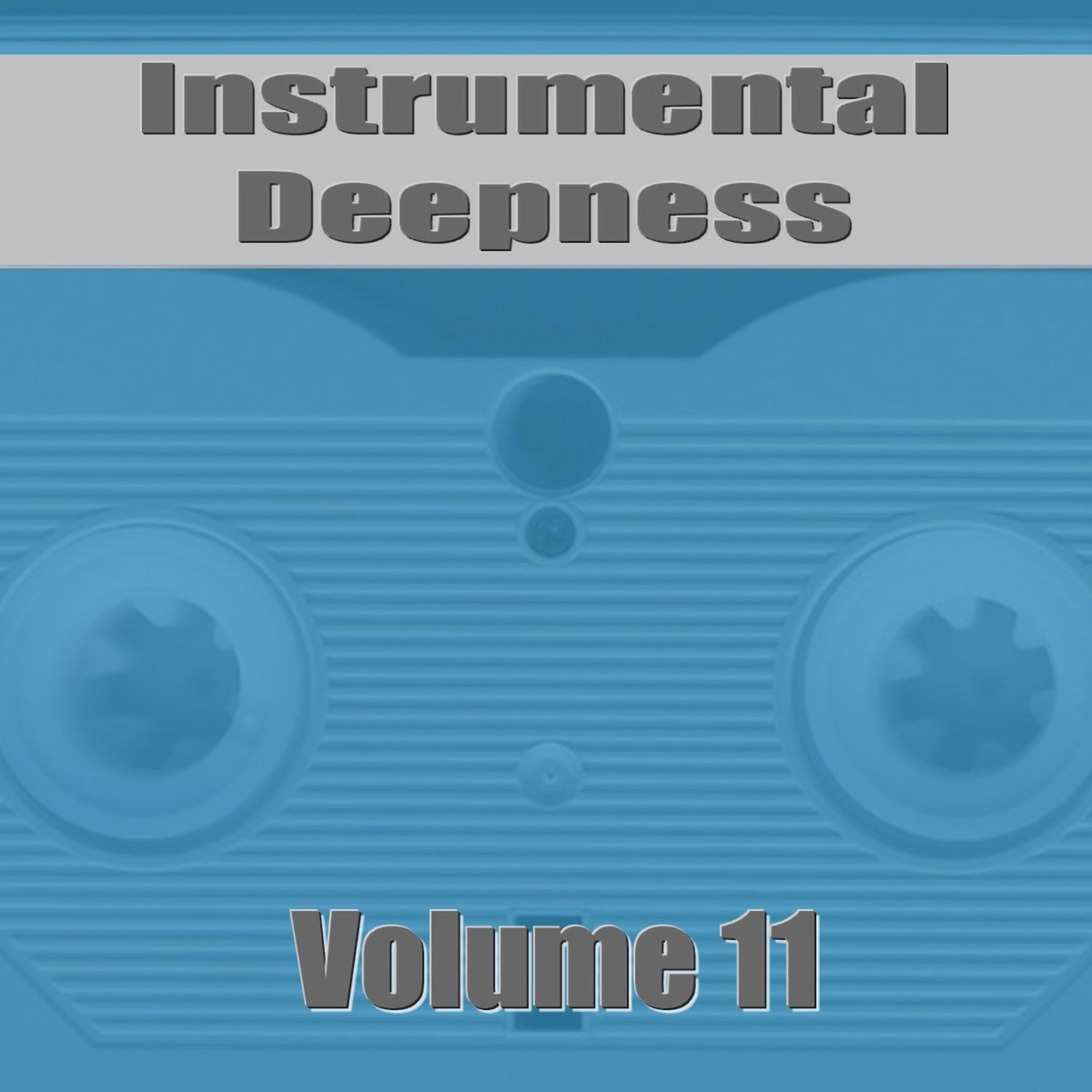 Постер альбома Instrumental Deepness Vol. 11