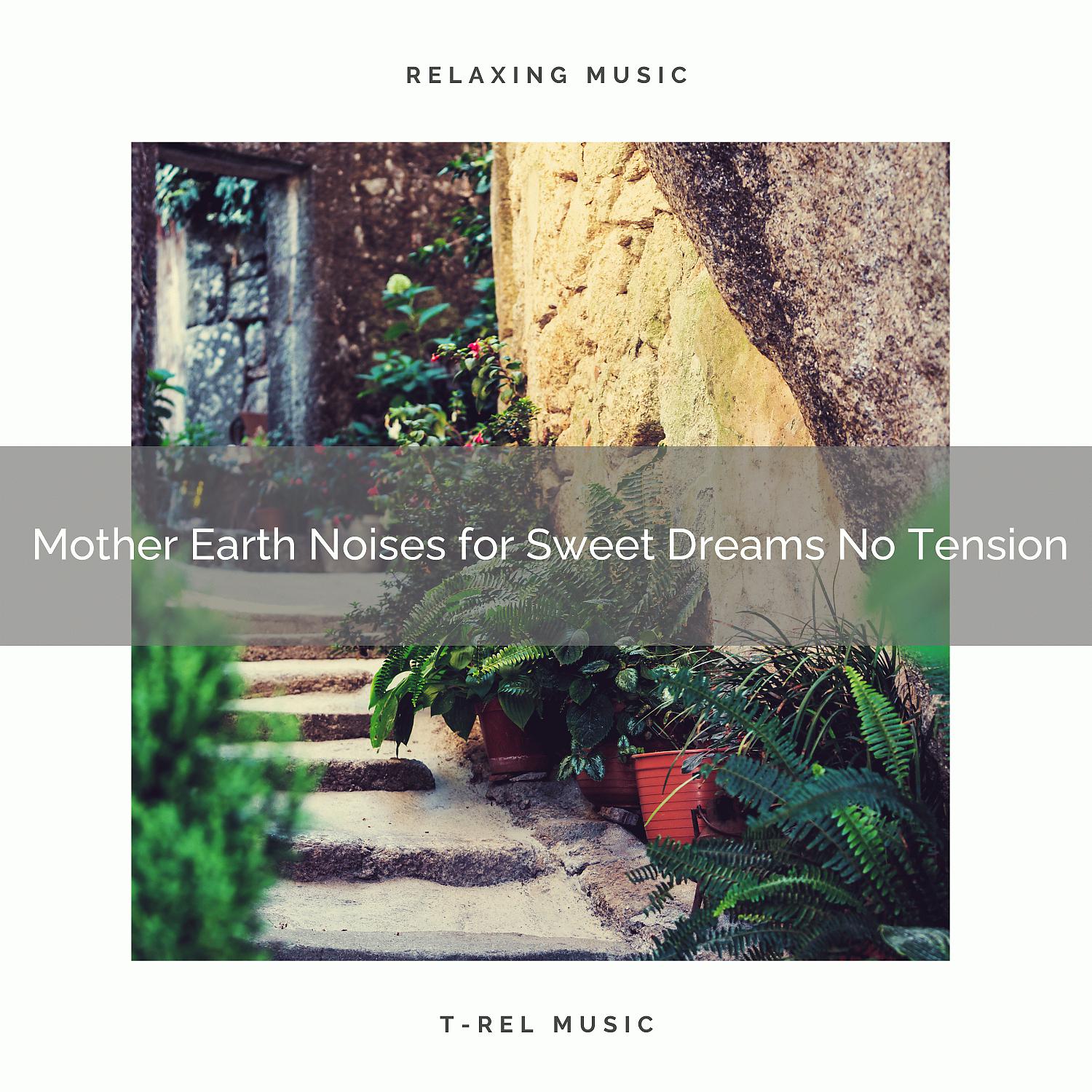 Постер альбома Mother Earth Noises for Sweet Dreams No Tension