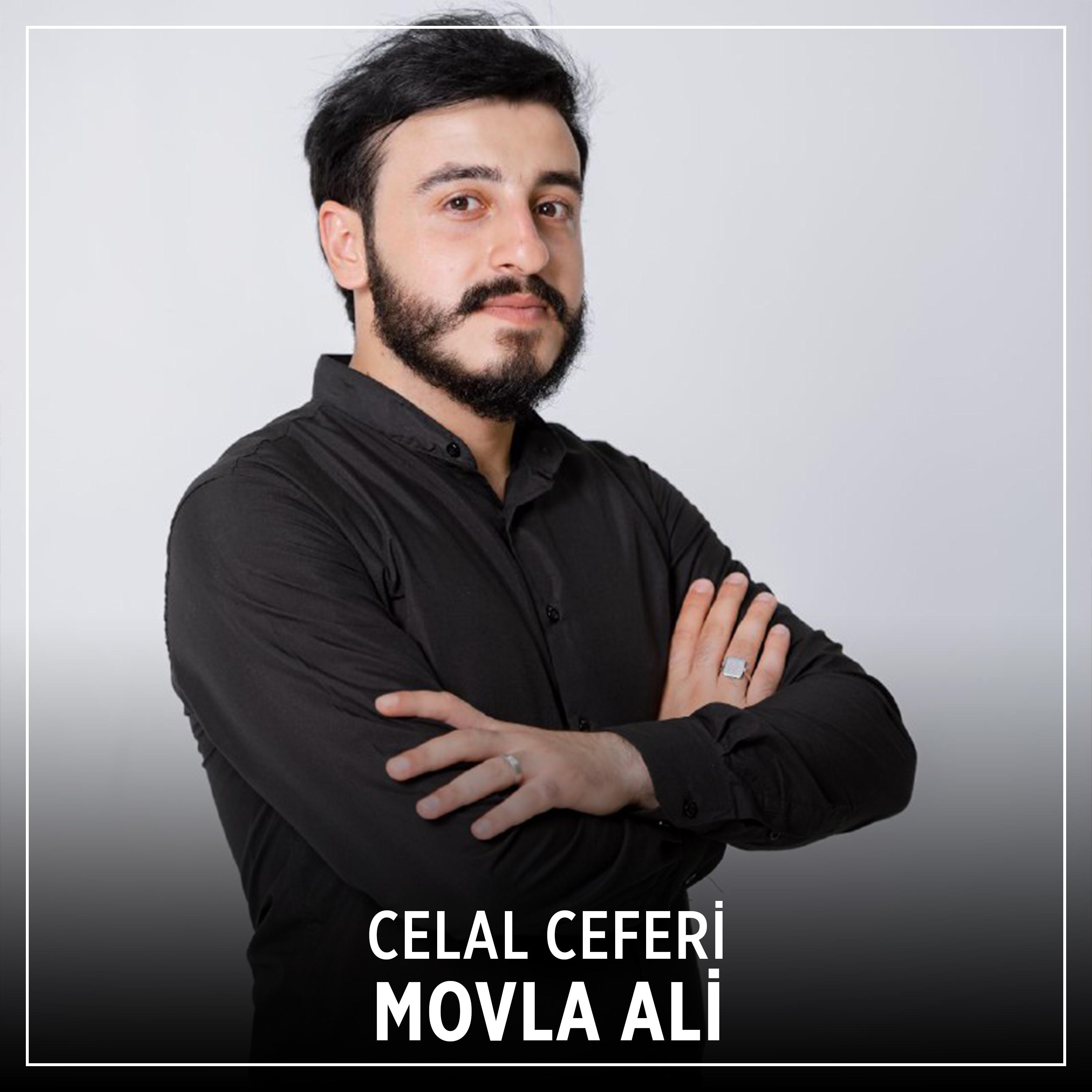 Постер альбома Movla Ali