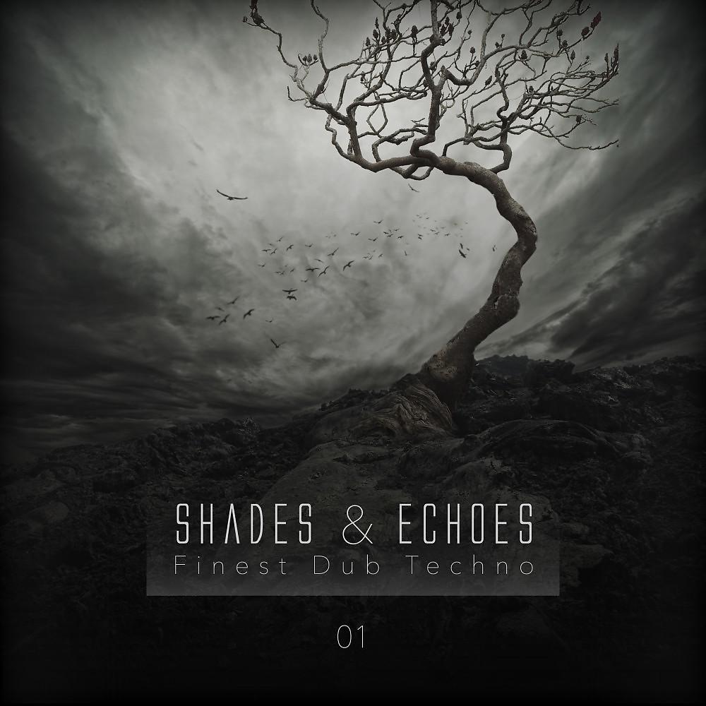 Постер альбома Shades & Echoes - Finest Dub Techno, Vol. 1