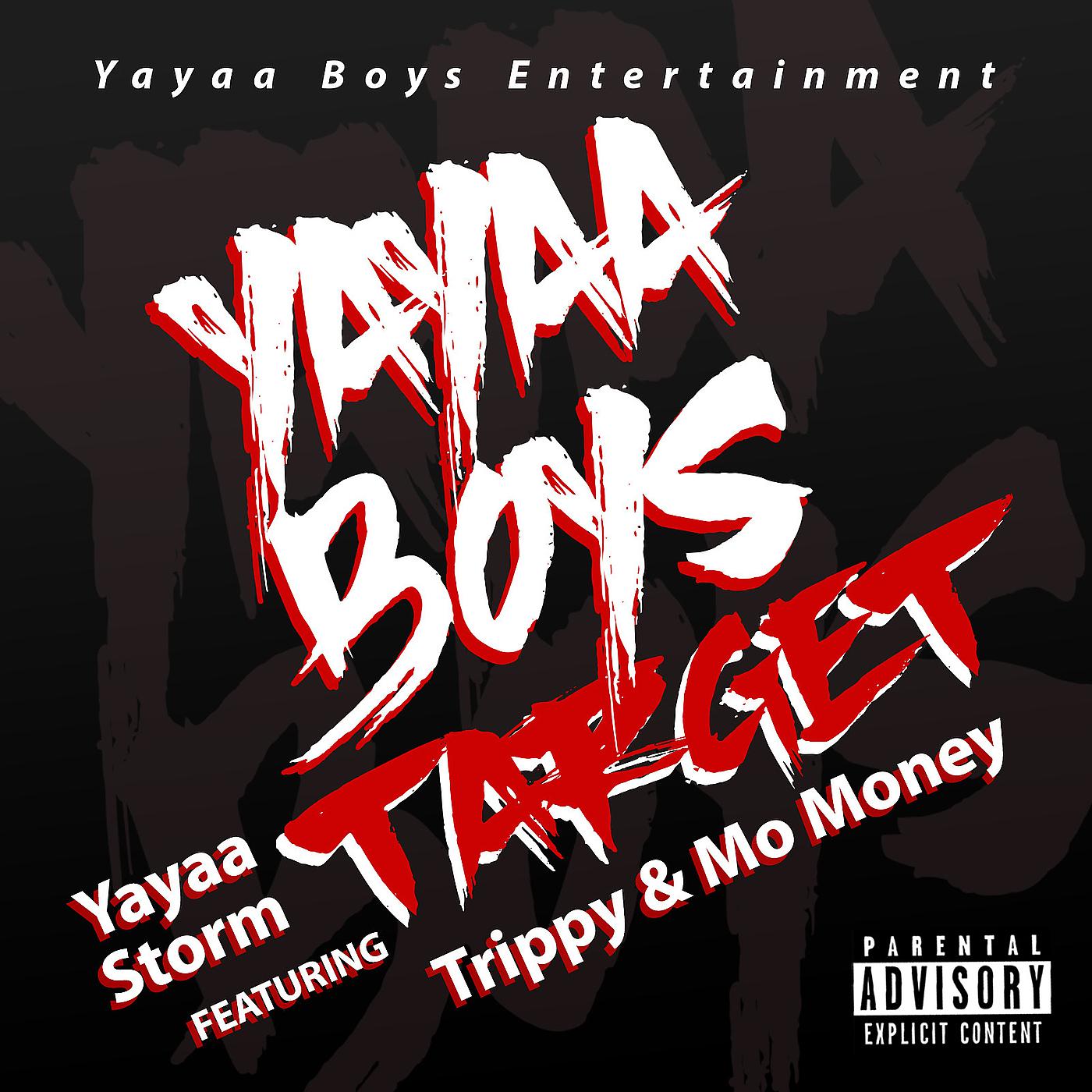 Постер альбома Yayaa Storm Yayaa Boys Target