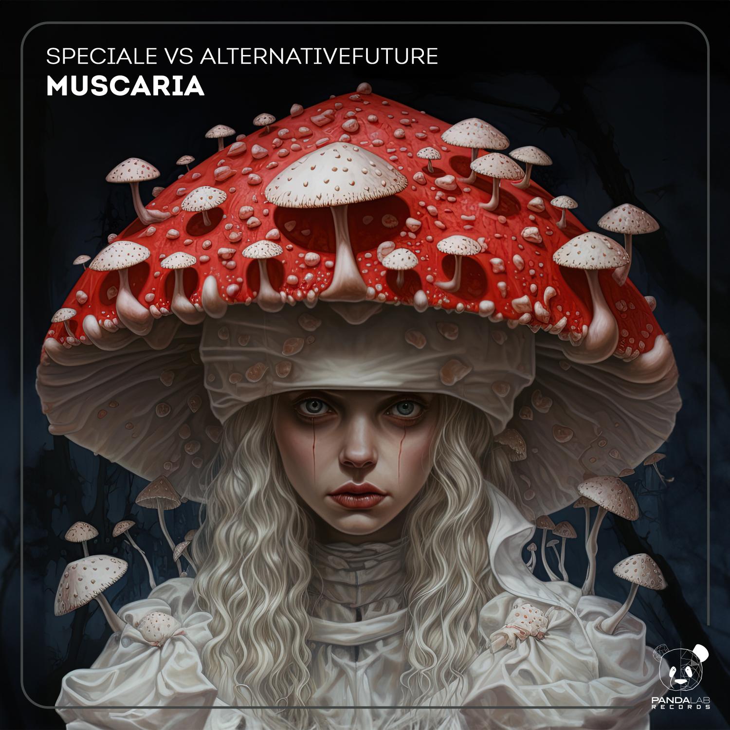Постер альбома Muscaria