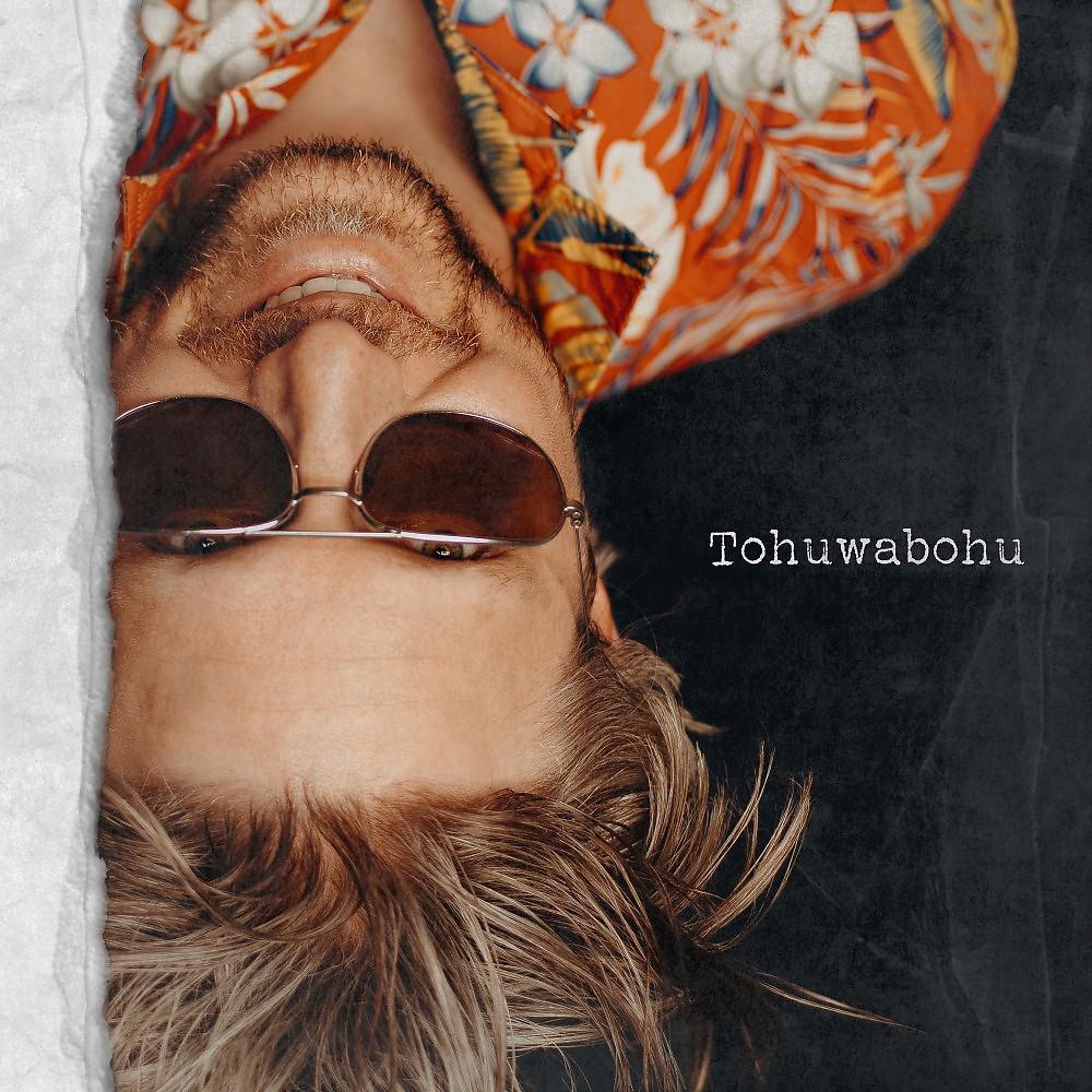 Постер альбома Tohuwabohu