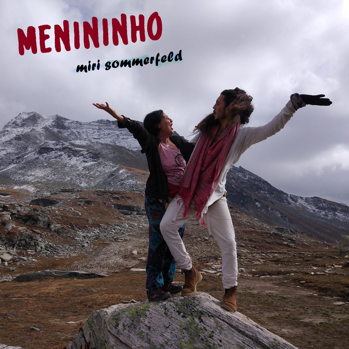 Постер альбома Menininho