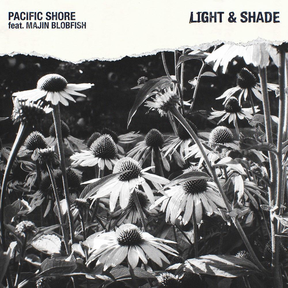 Постер альбома Light & Shade